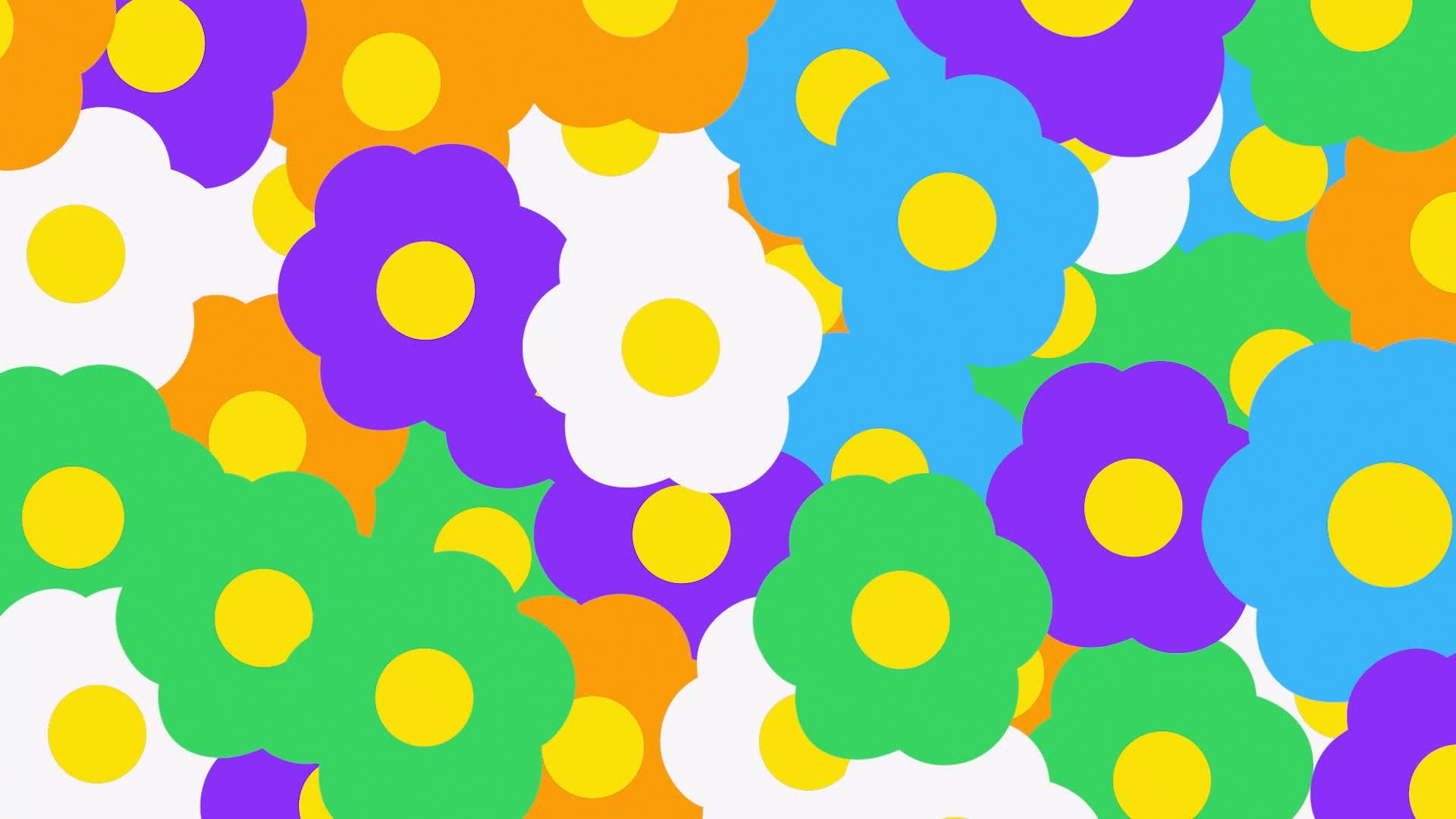 Playful Flowers Transition
