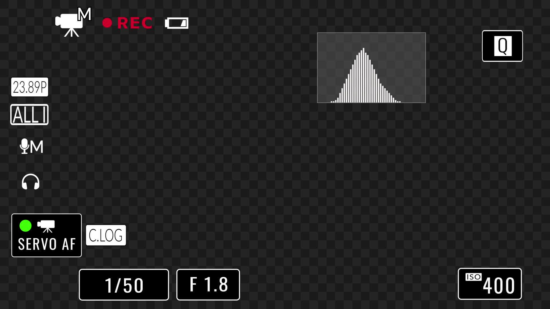 Professional Camera Recording Overlay