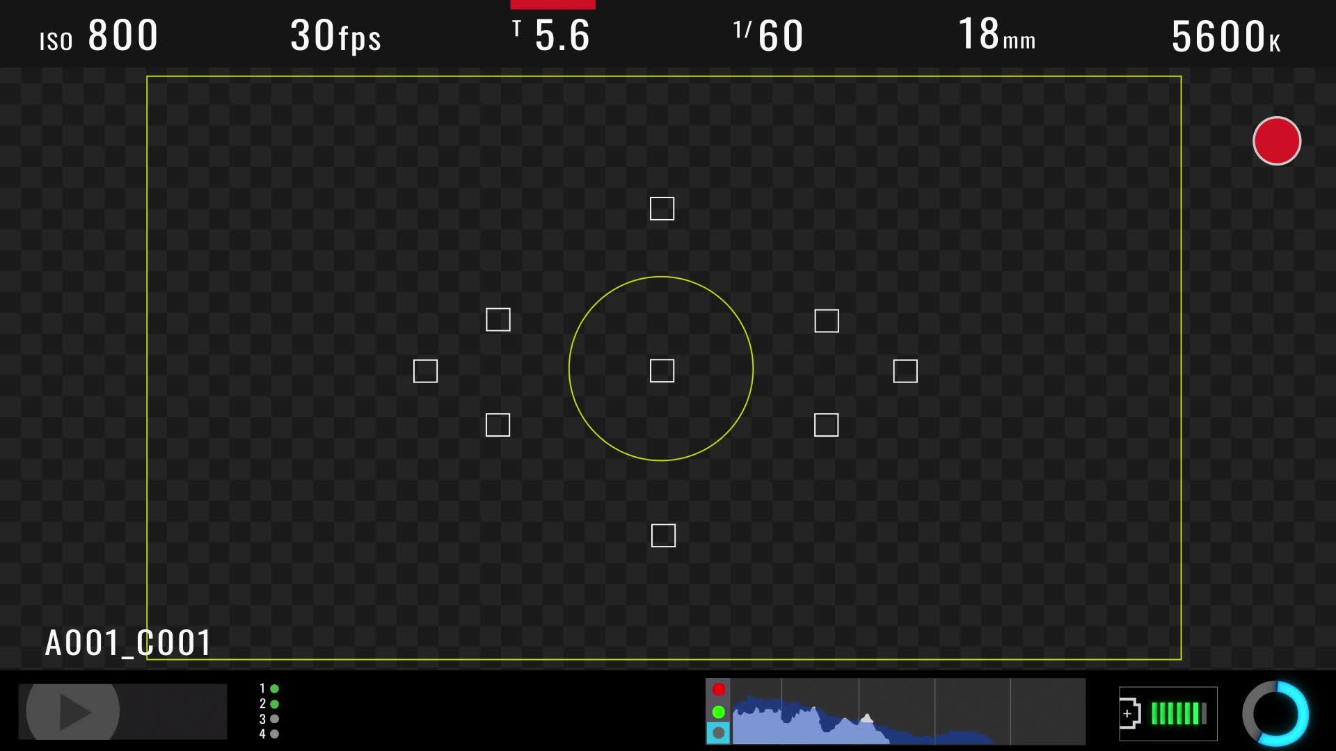 Camera Recording Overlay