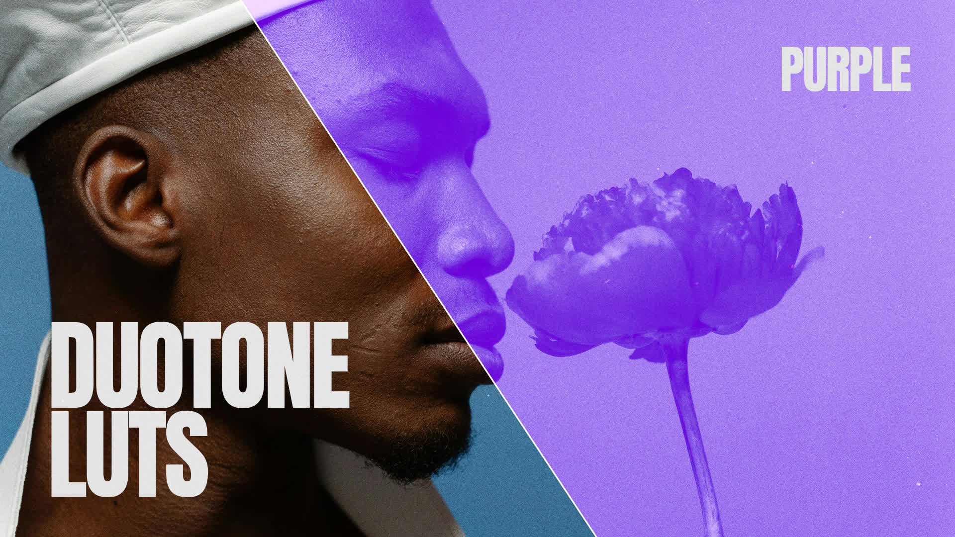 Purple Duotone LUTs