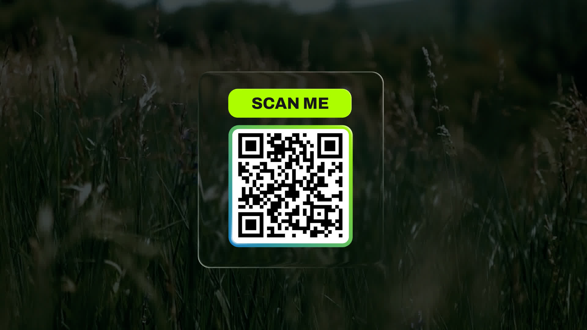 QR Code Scan Element