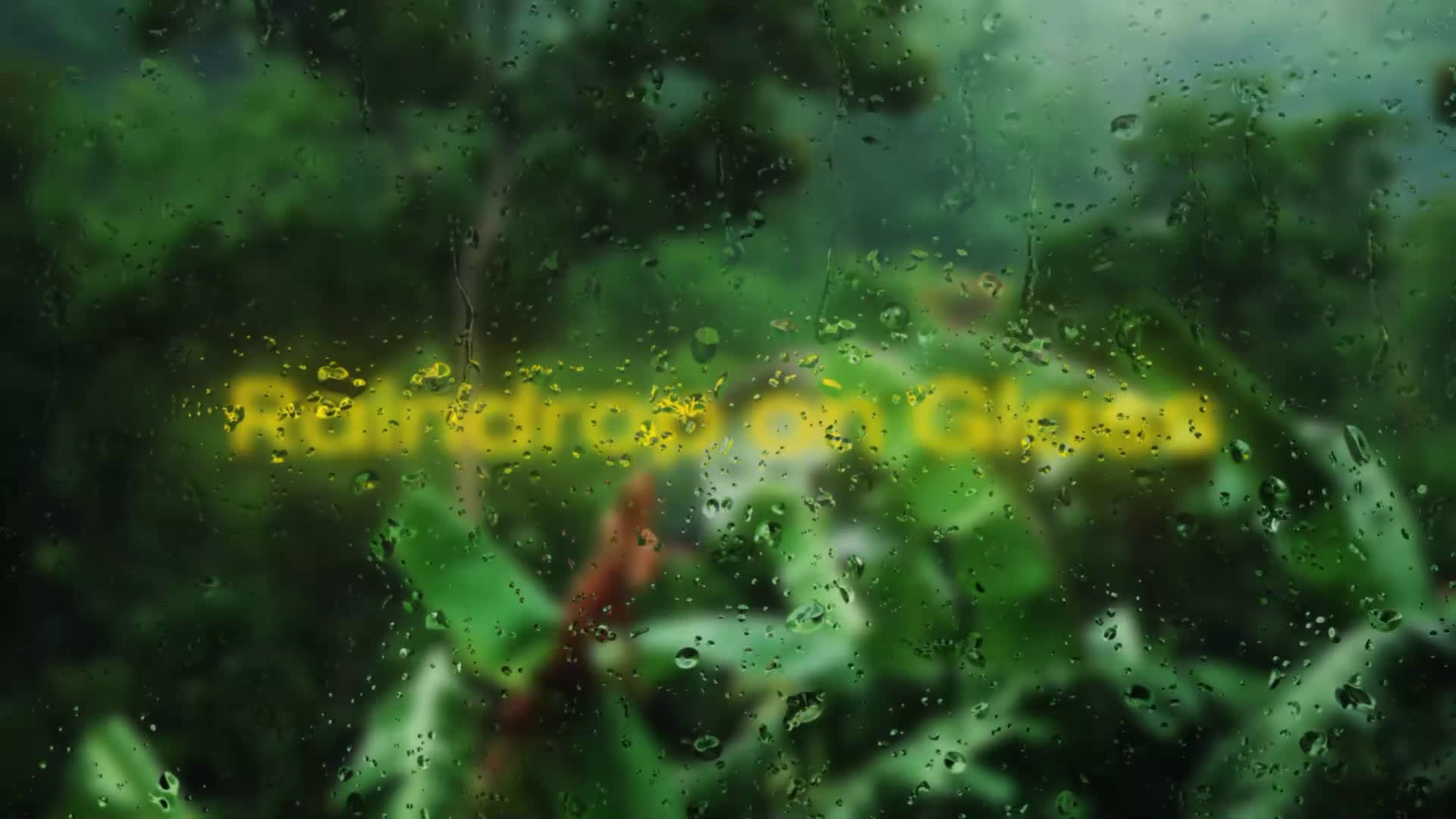 Rain Drop on Glass