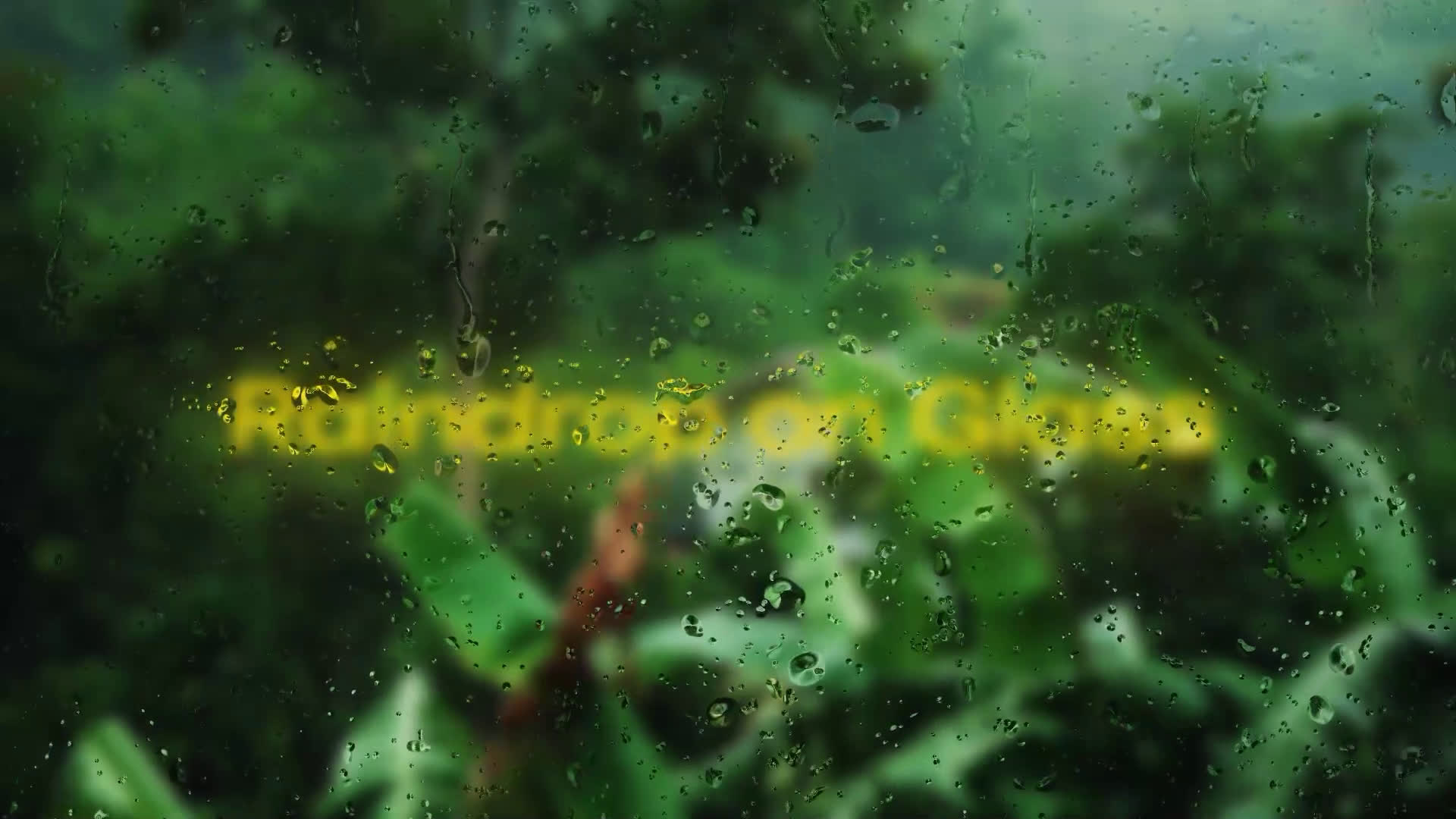 Rain Drop on Glass