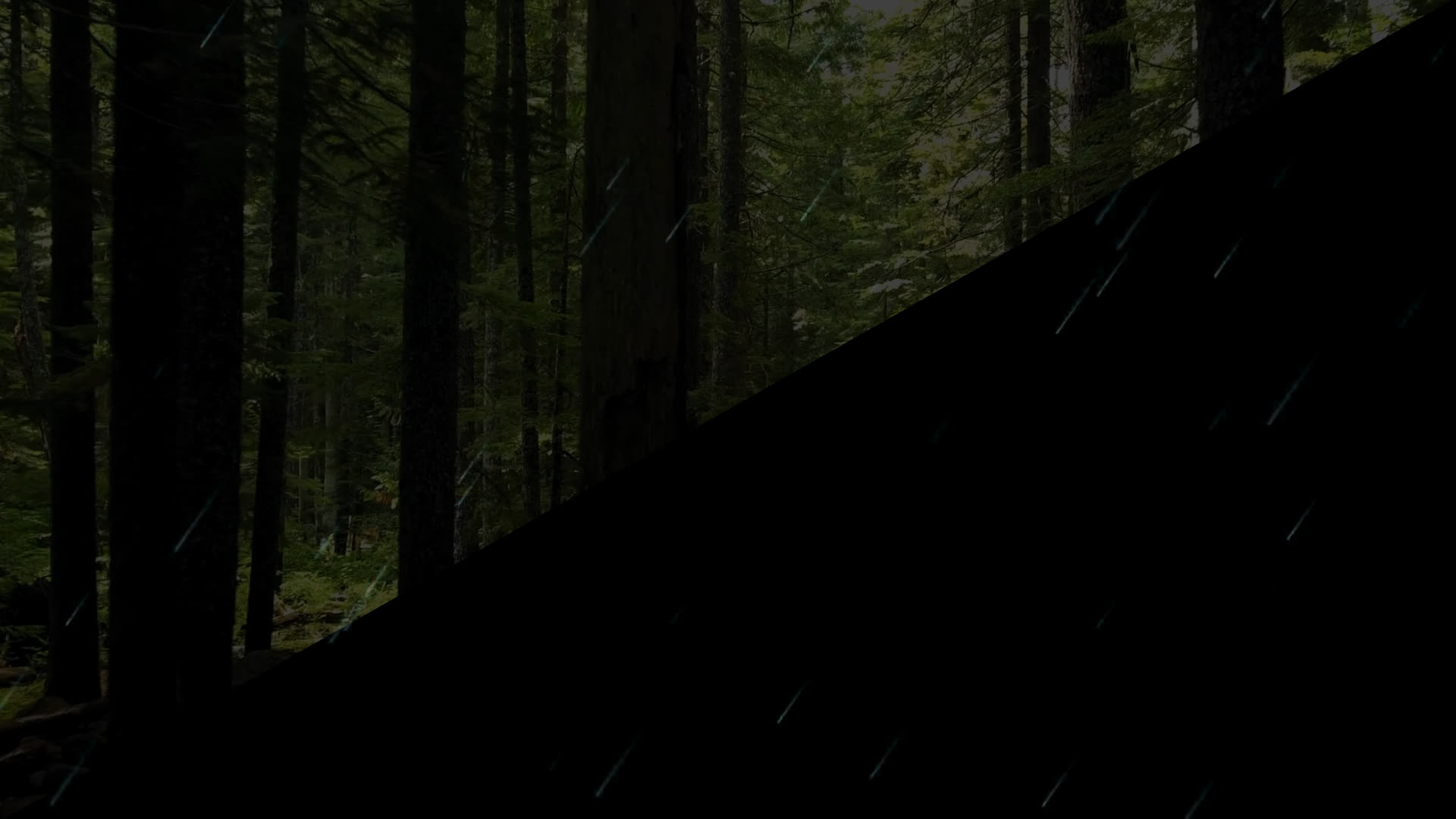 Rain Overlay Animation