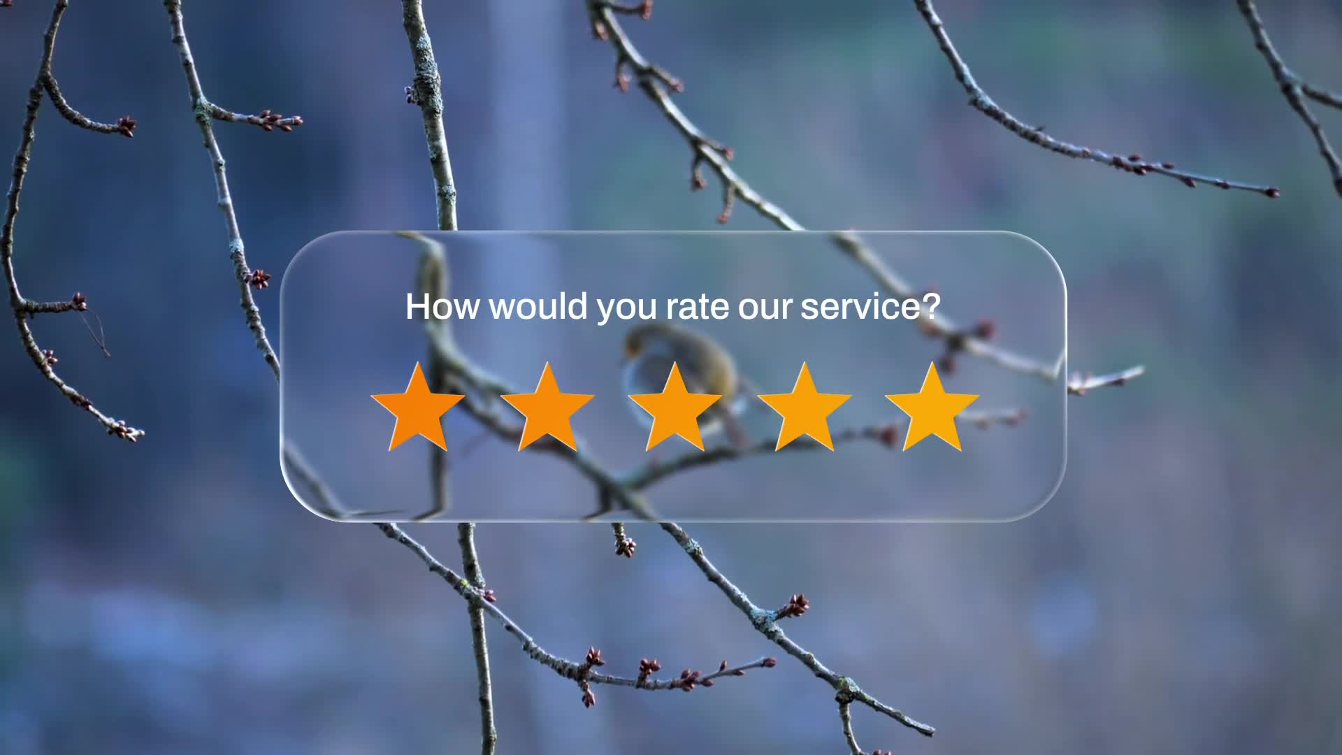 Rating Element Liquid Glass