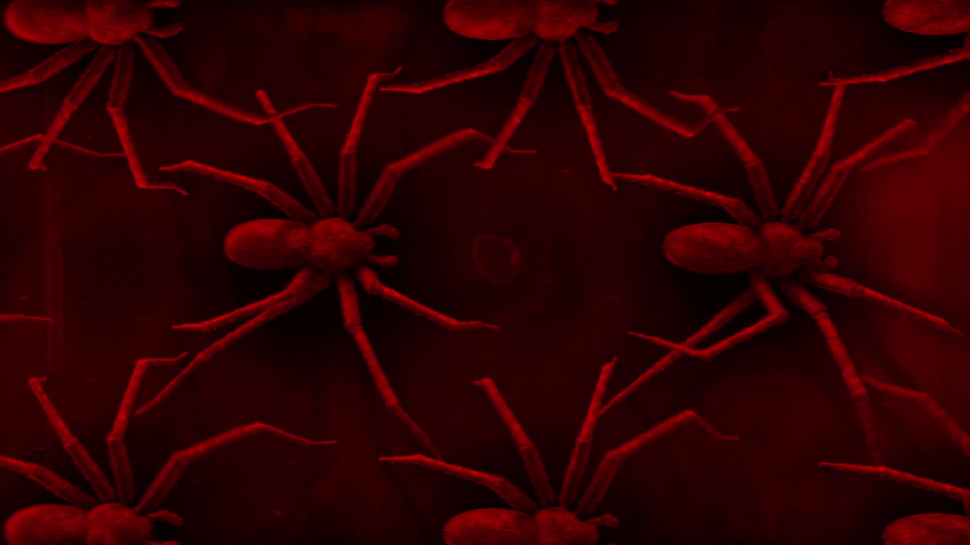 Red Light Spiders Crawl Across Background