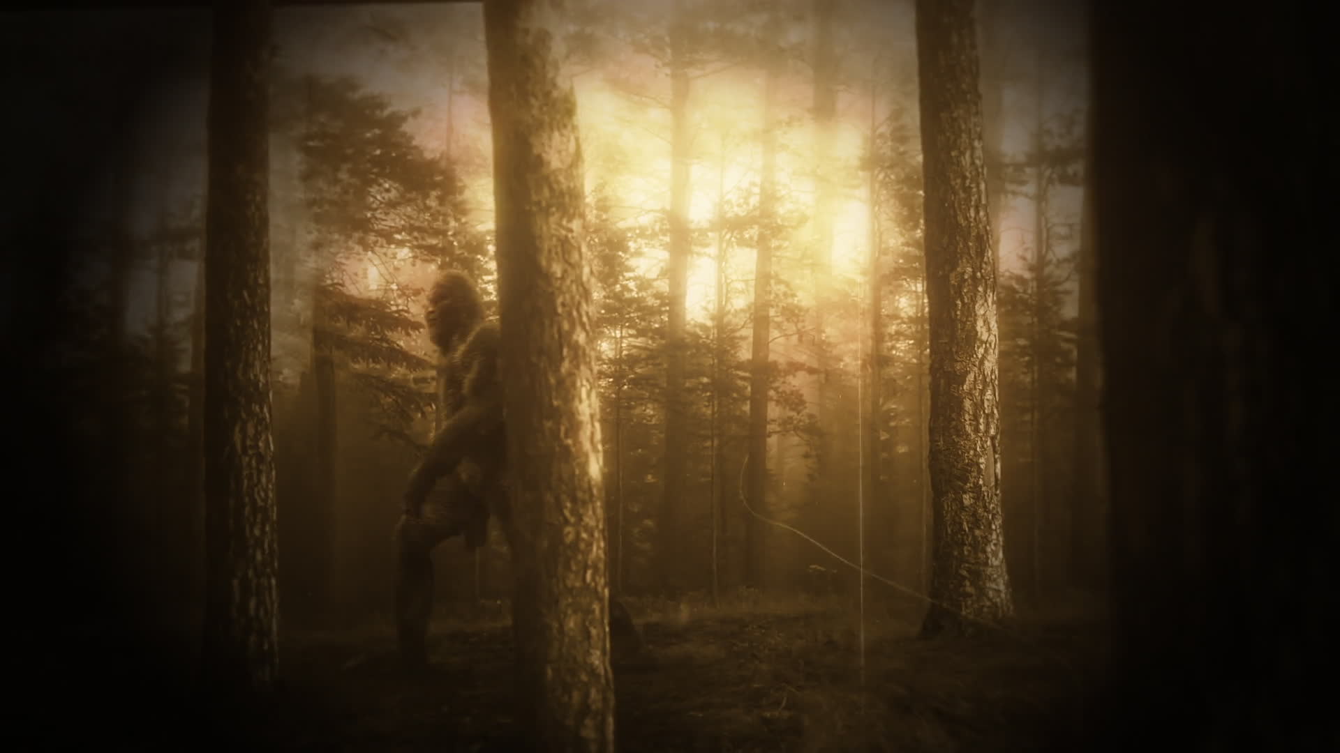 Sasquatch In Forest Old Film