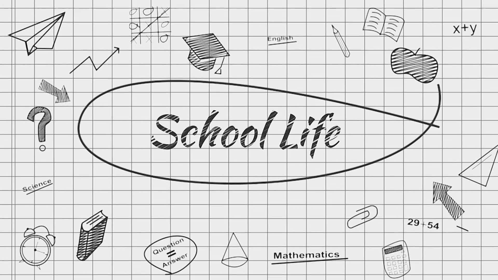 School Life