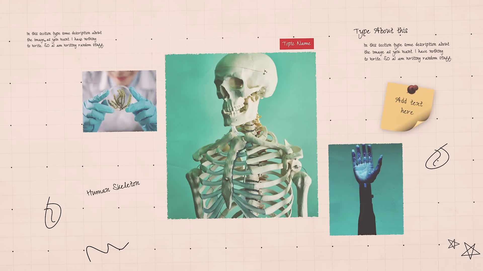 Science Project Presentation