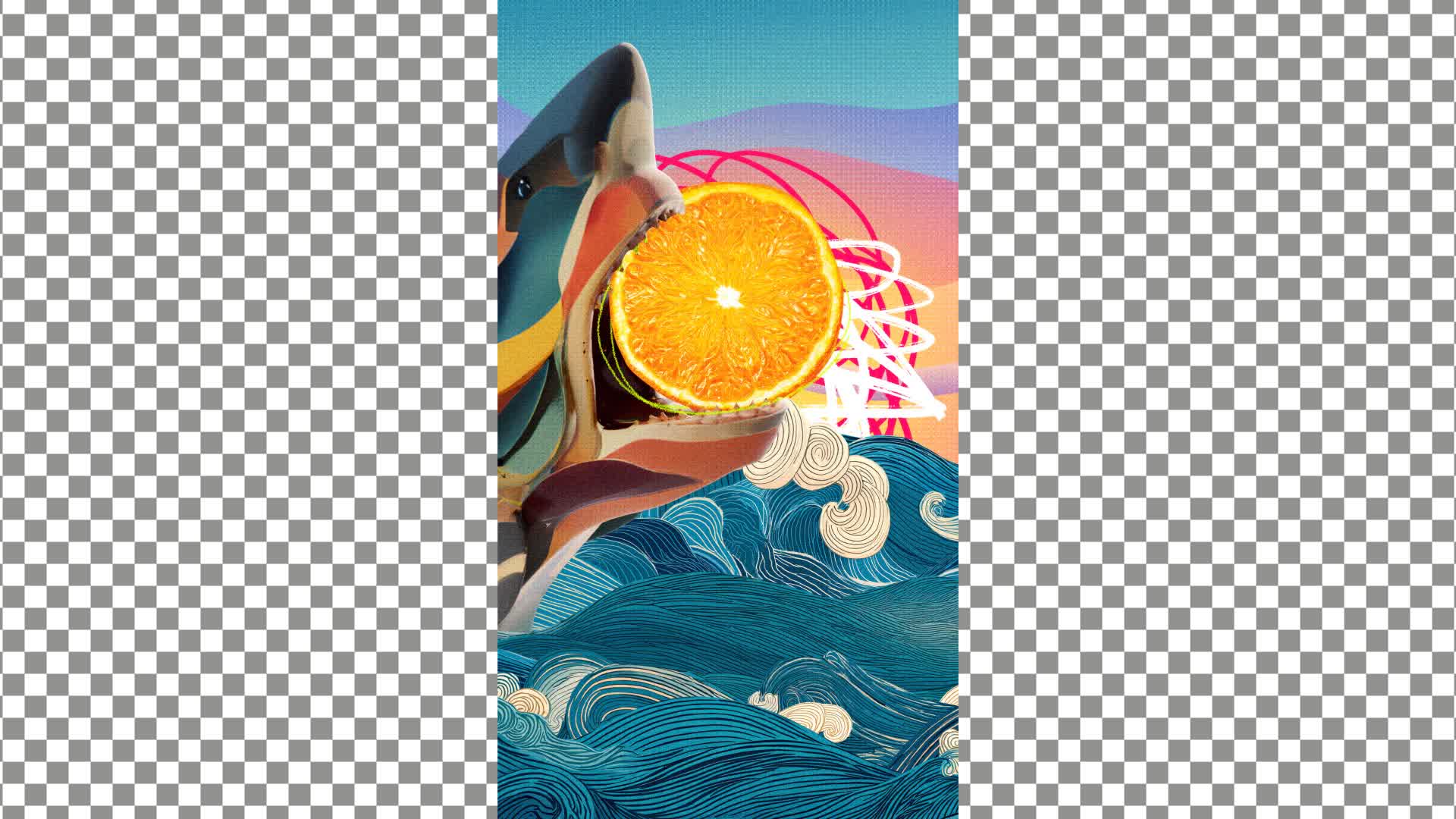 Shark and Orange Collage Transition