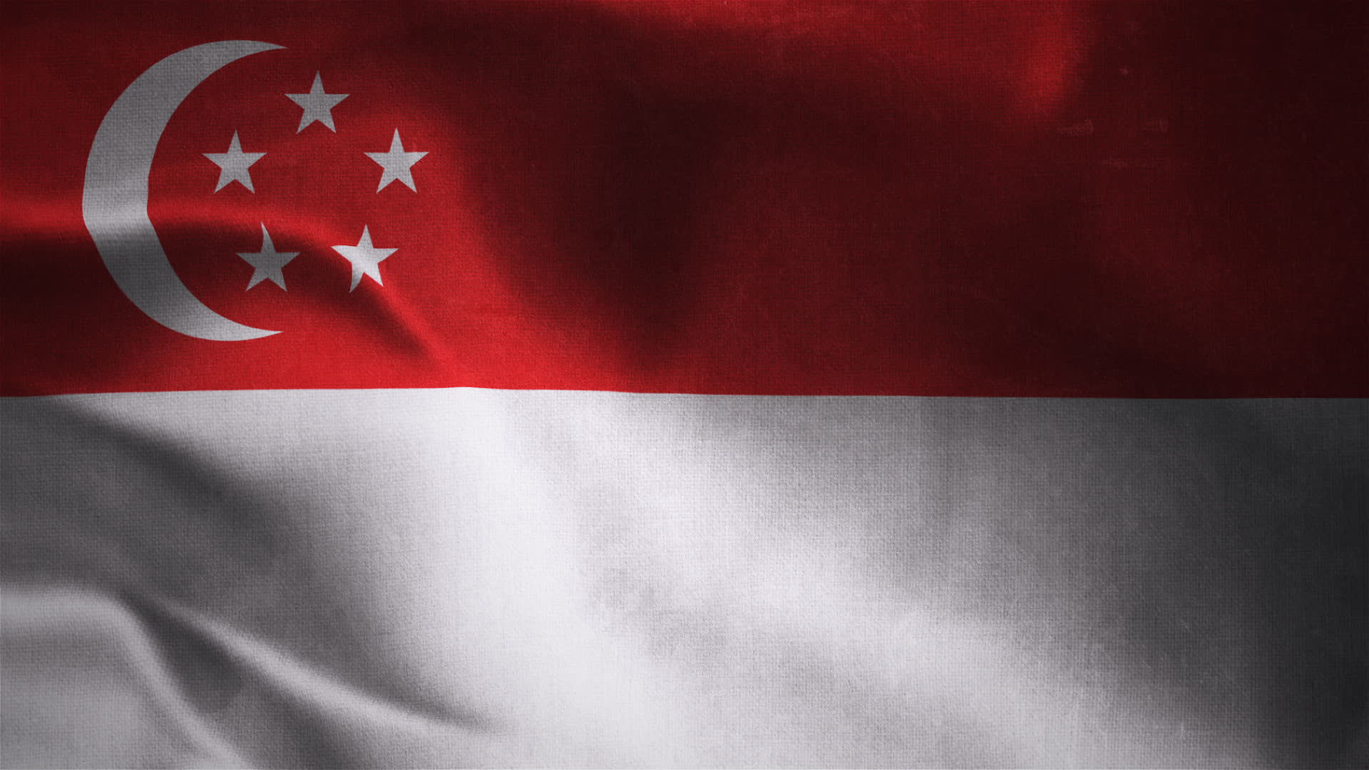 Singapore Flag