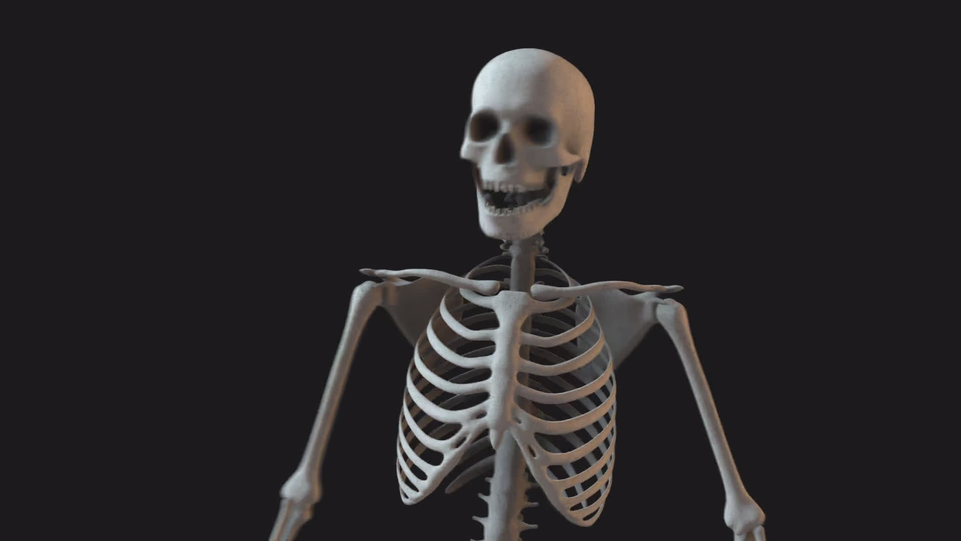 Skeleton Looking Around Close Up