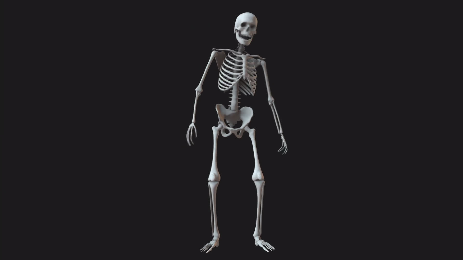 Skeleton Looking Around Fast Front