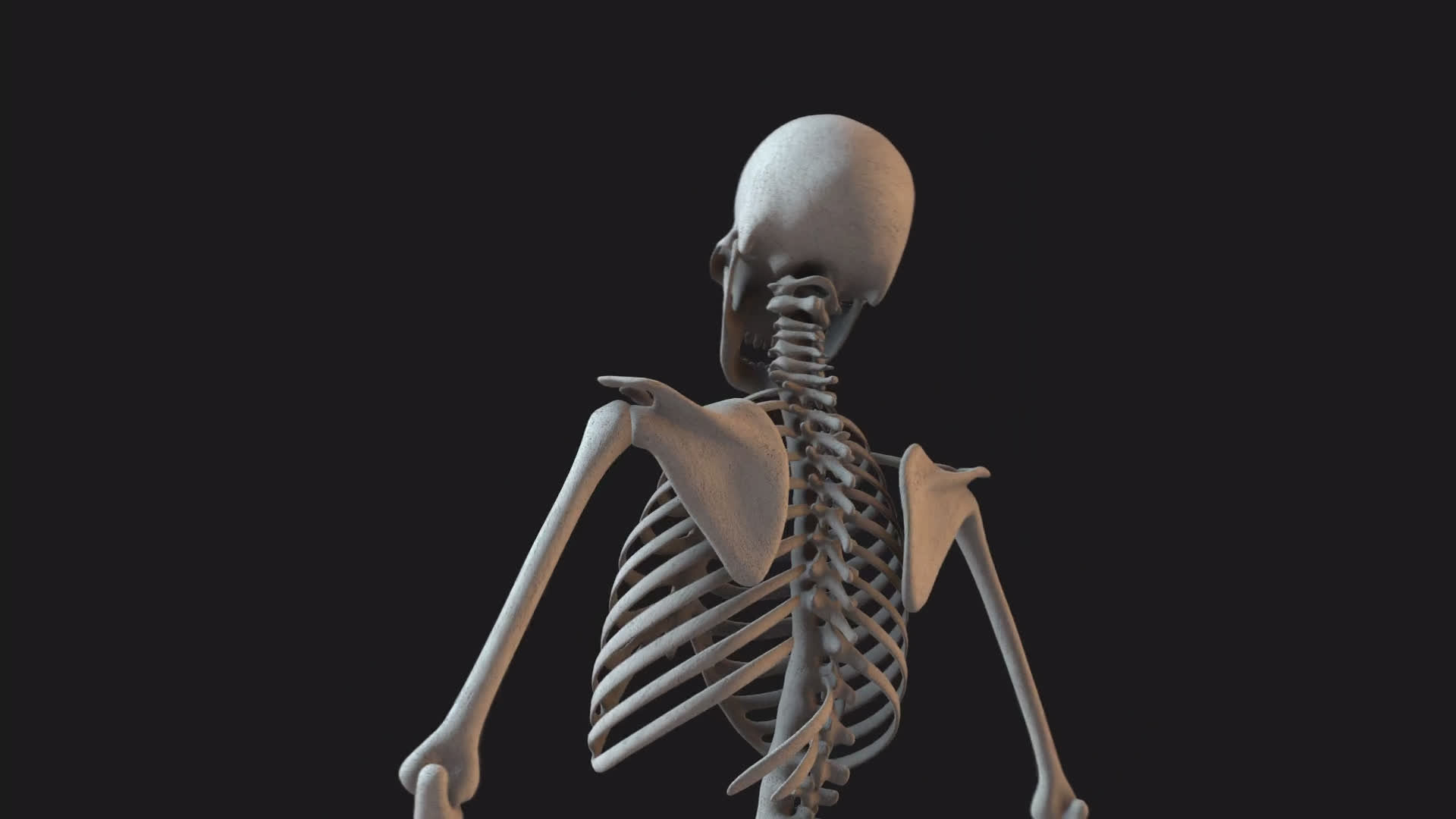 Skeleton Looking Around Slowly Close Up