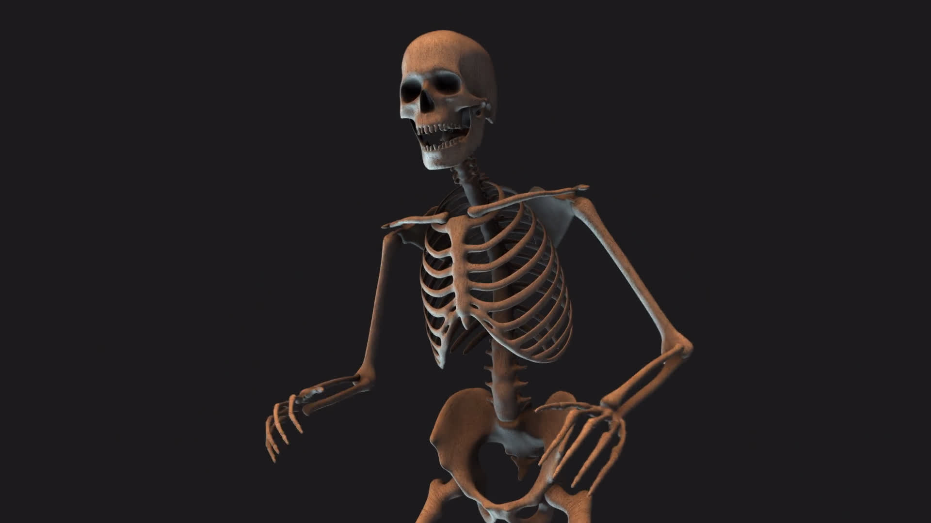 Skeleton Scream Close Up