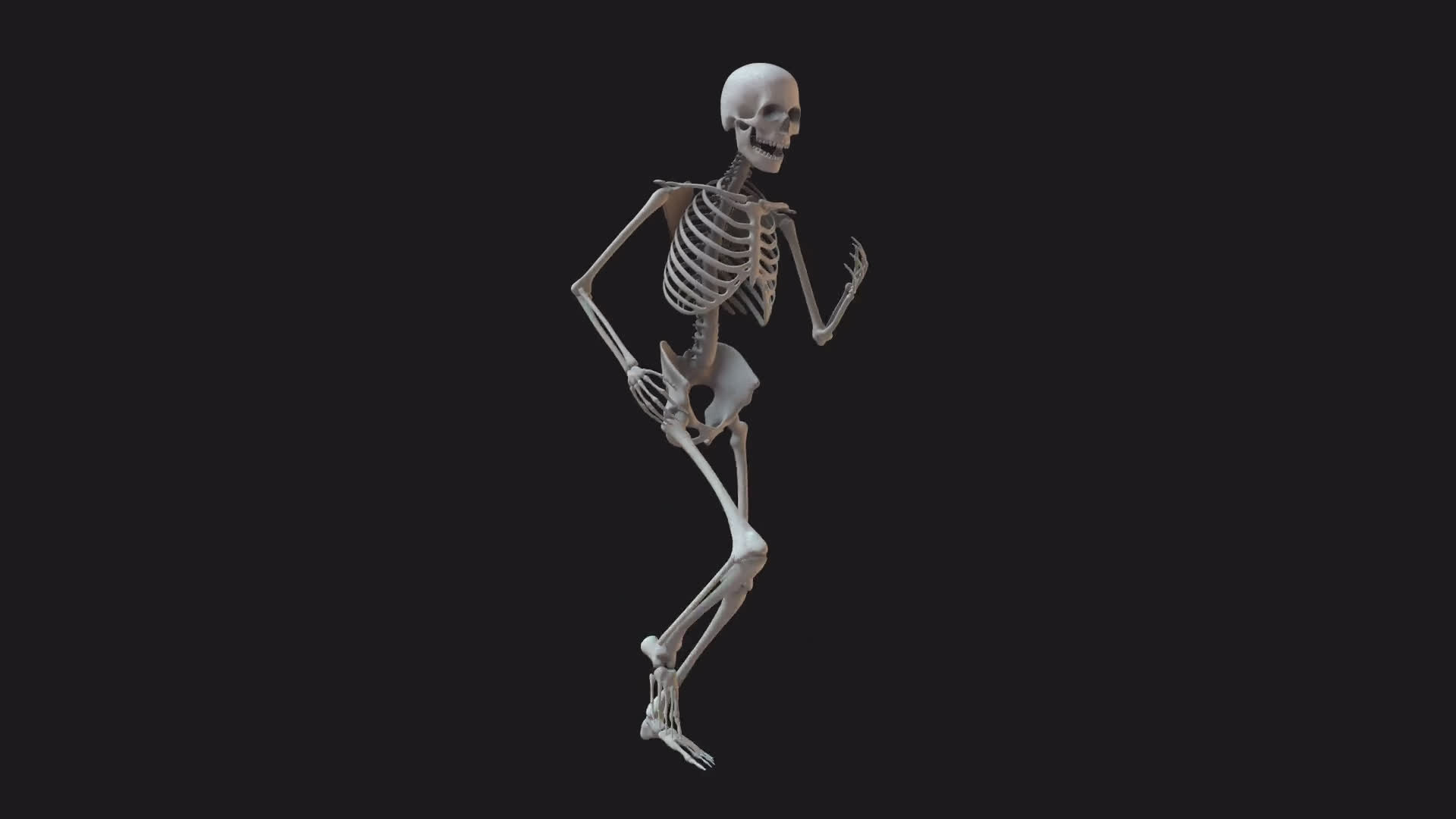 Skeleton Standard Run Loop