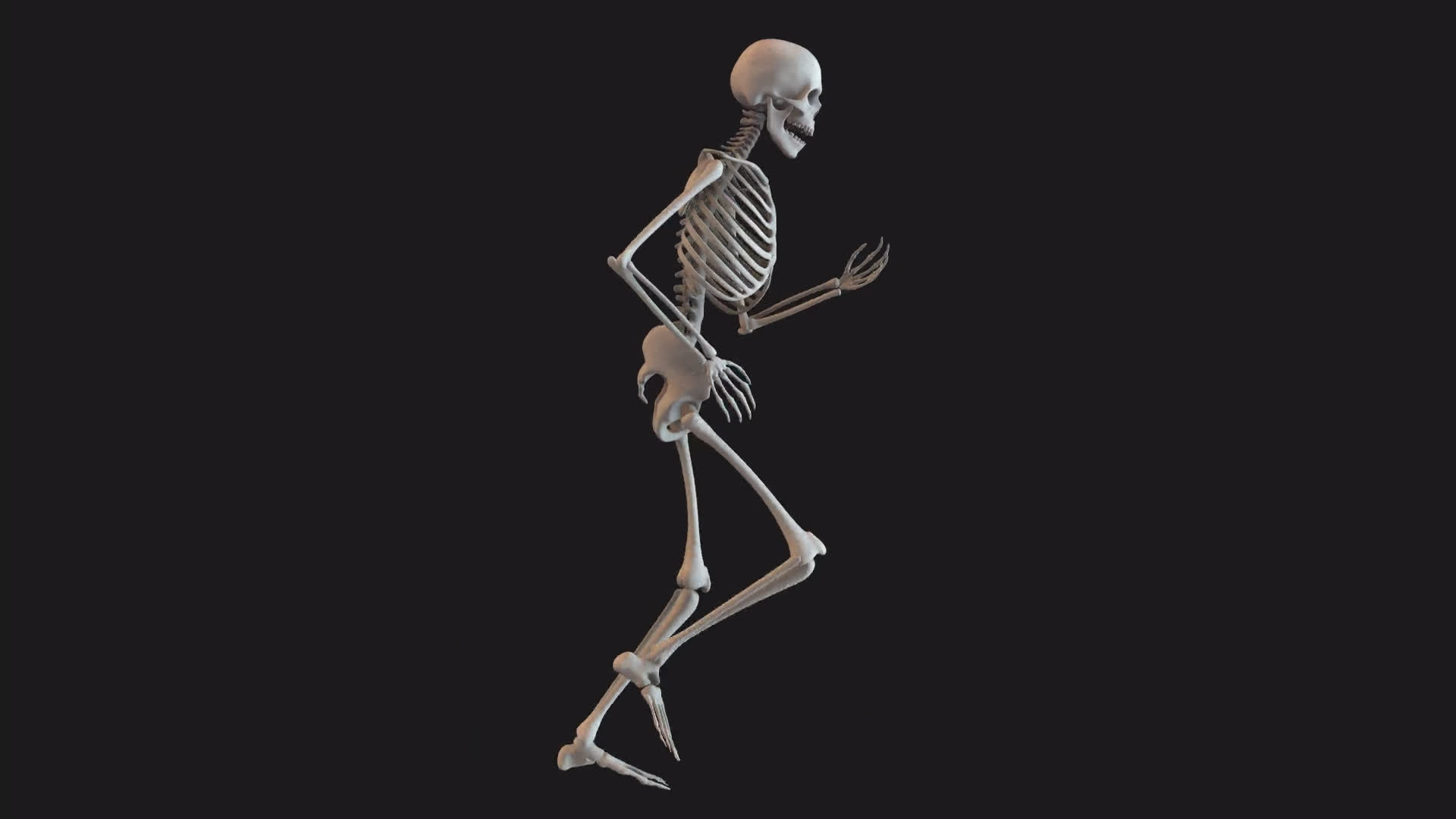Skeleton Standard Run Loop Side