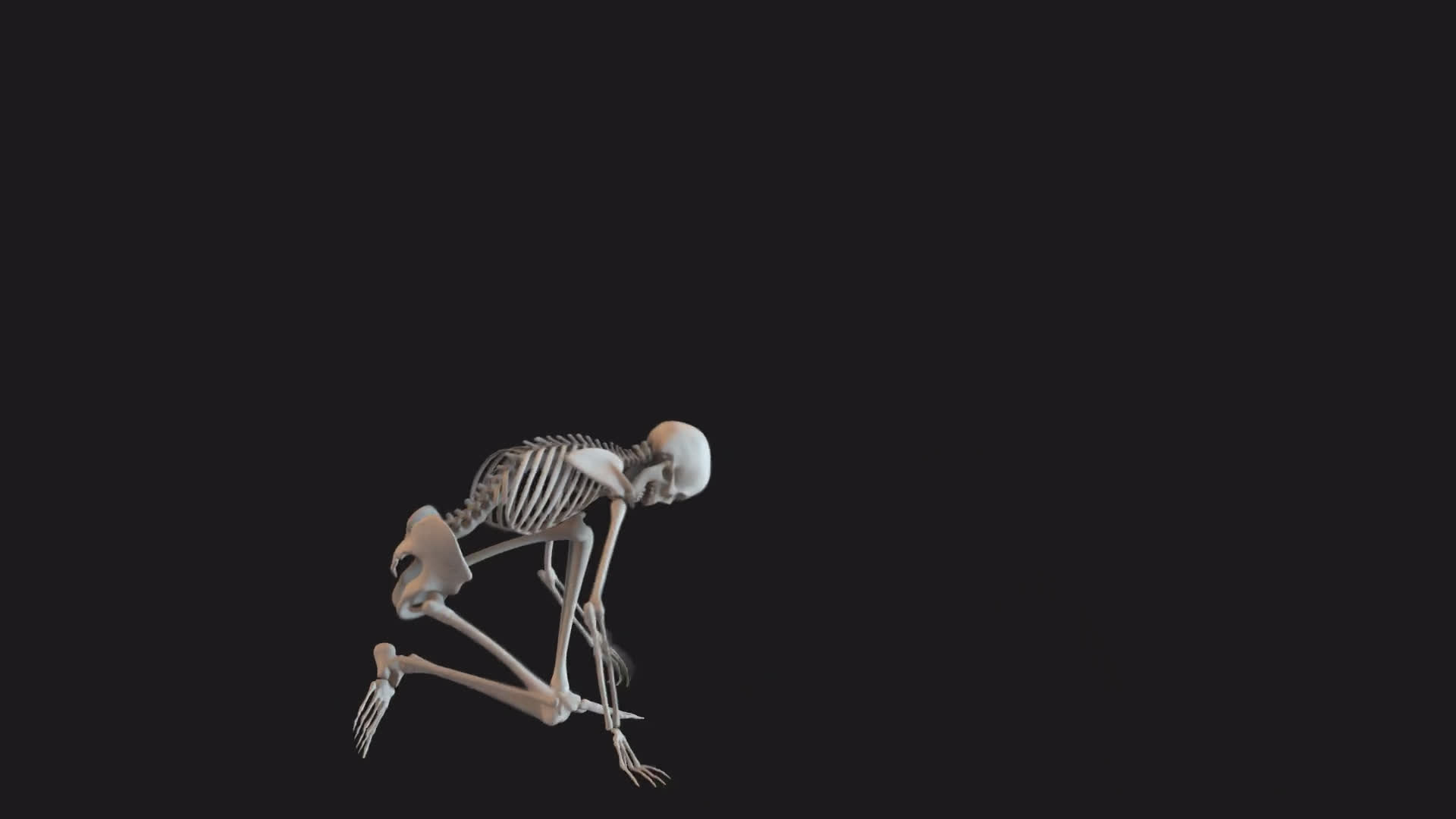 Skeleton Standing Up Side View