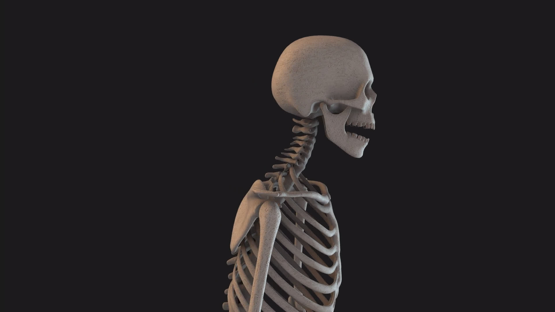 Skeleton Stood Idle Loop Close Up