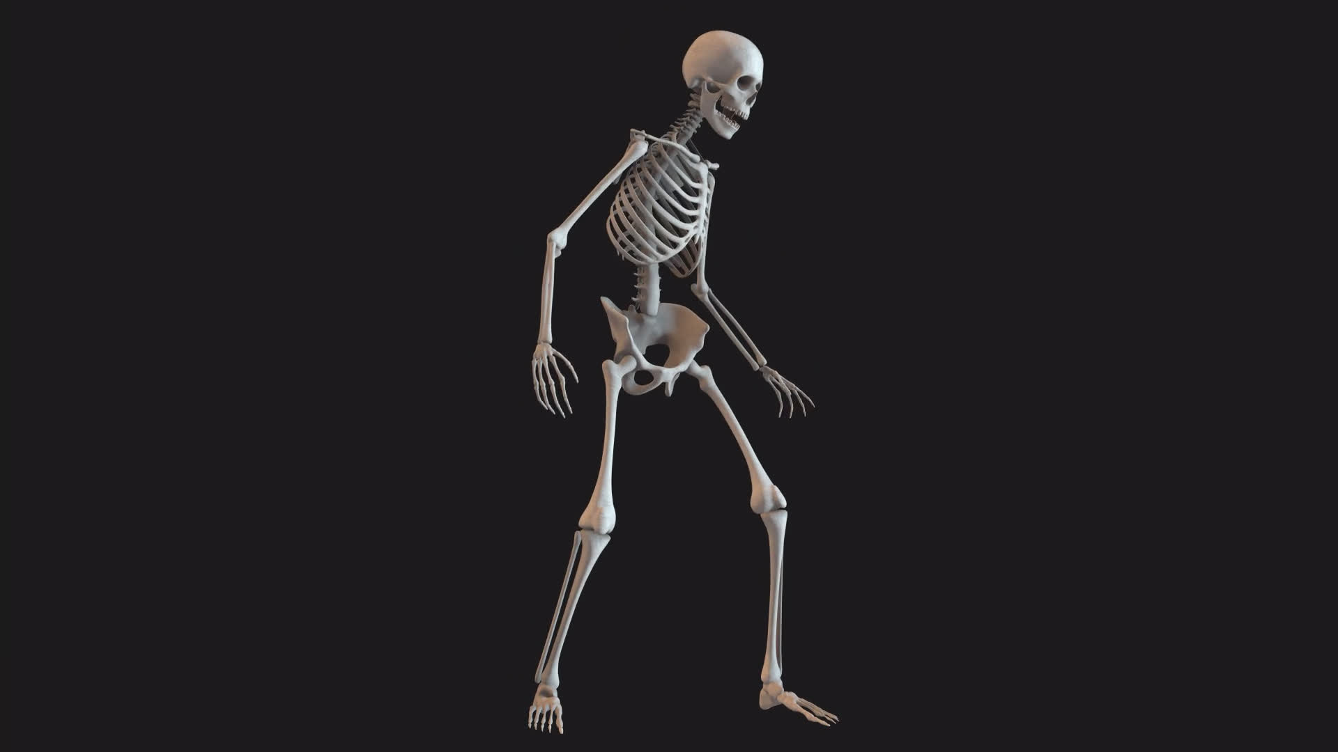 Skeleton Stood Looking