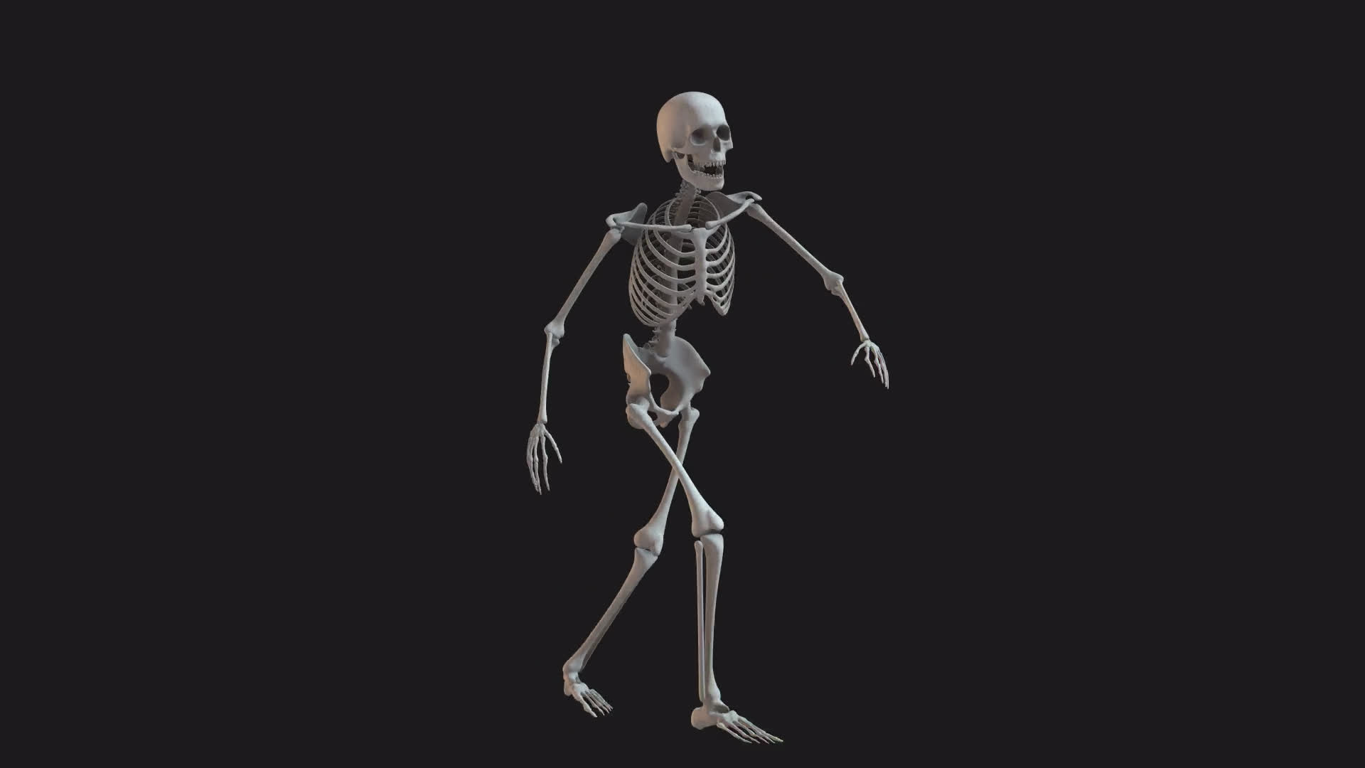 Skeleton Unsteady Walk Cycle Loop