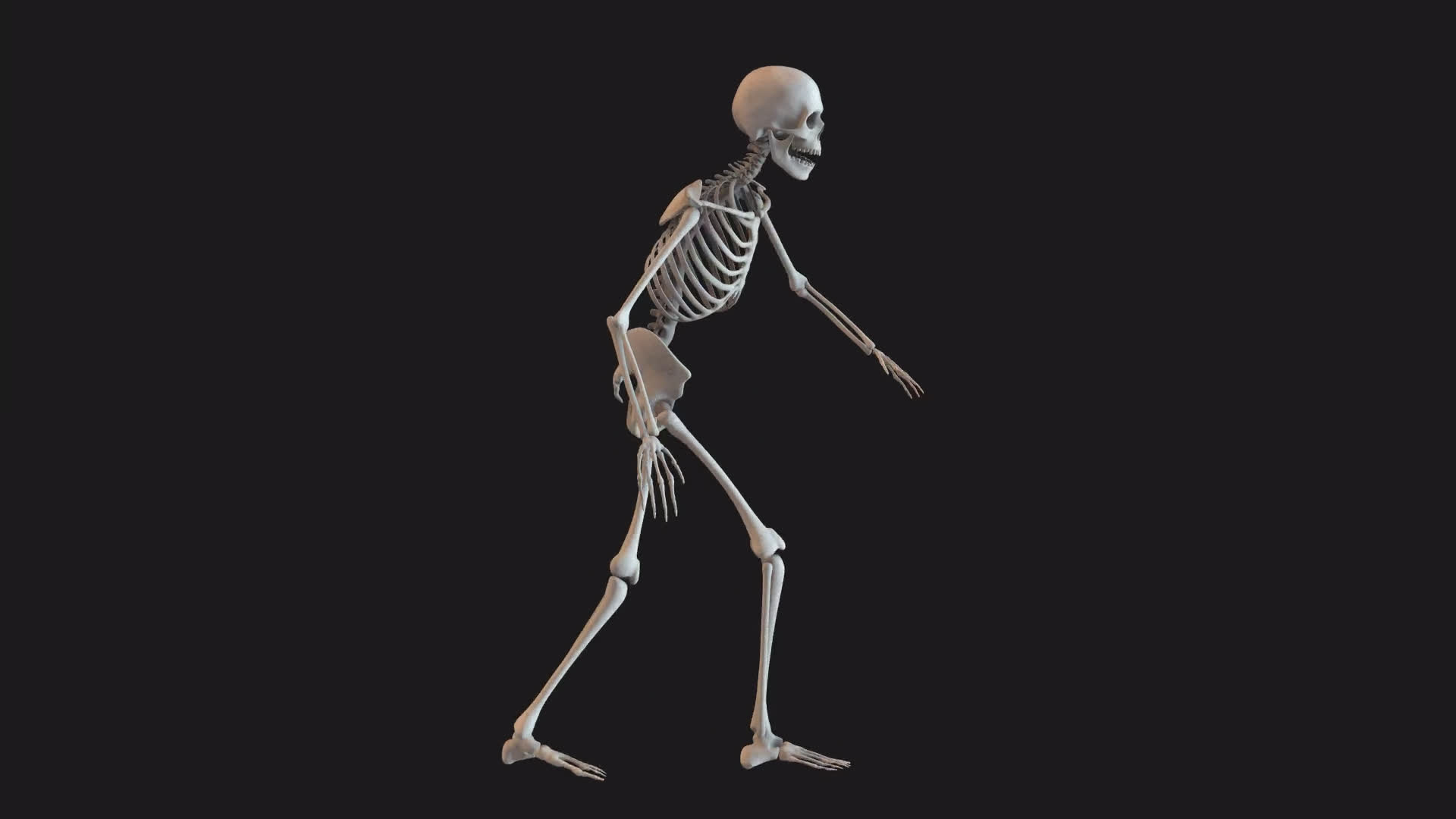 Skeleton Unsteady Walk Cycle Loop Side