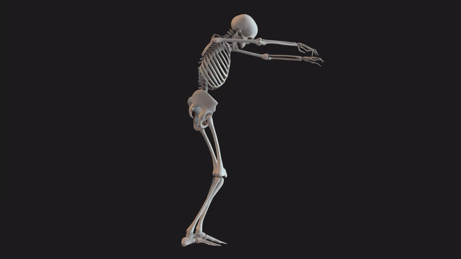 Skeleton Zombie Walk Loop Side