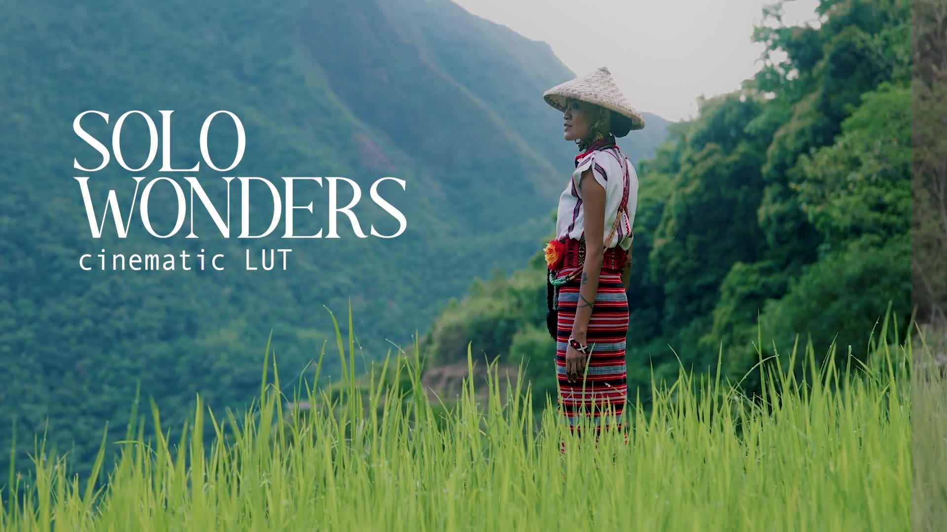 Solo Wonders LUT