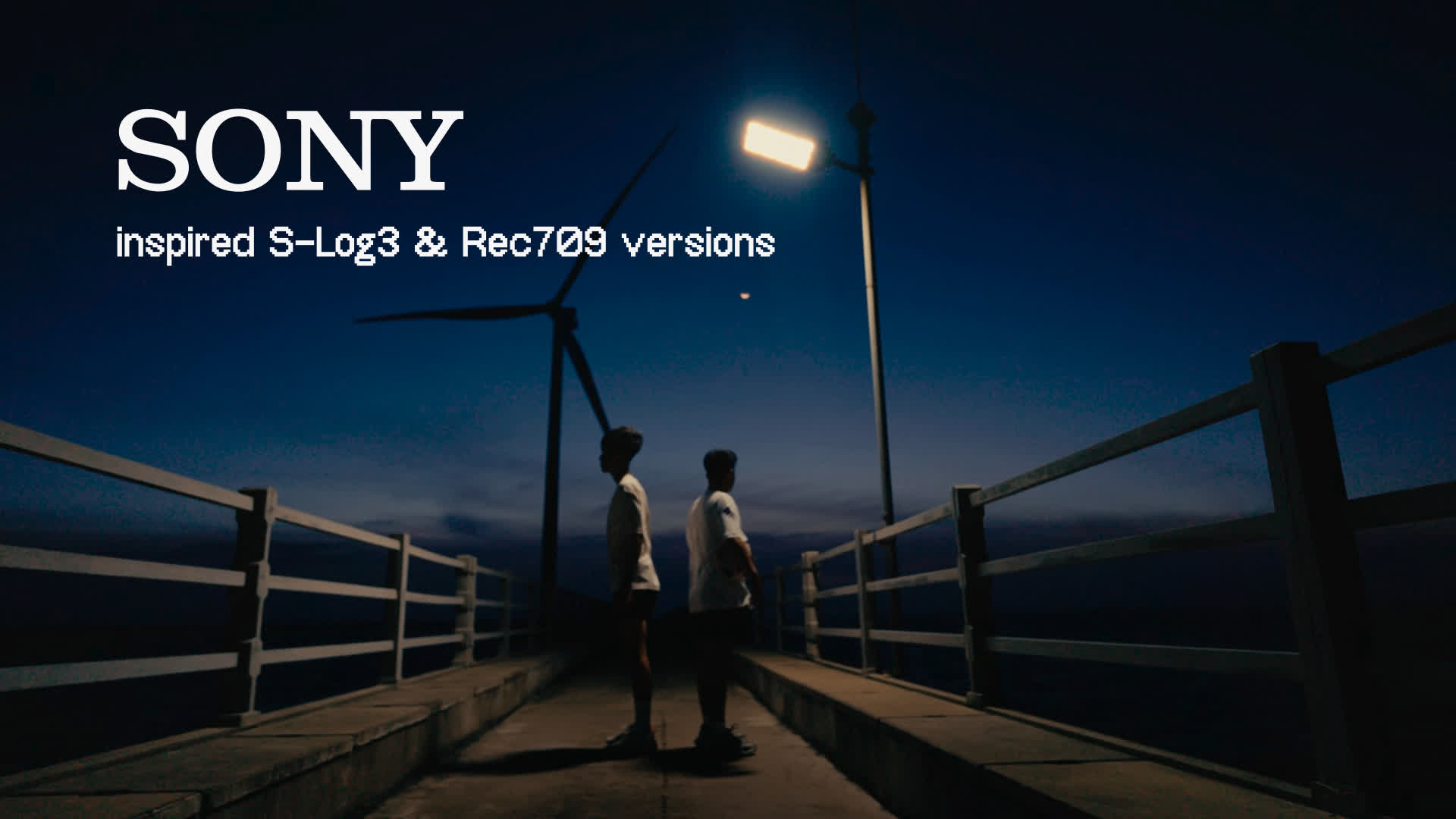 Sony Inspired Cinematic Luts - S-Log
