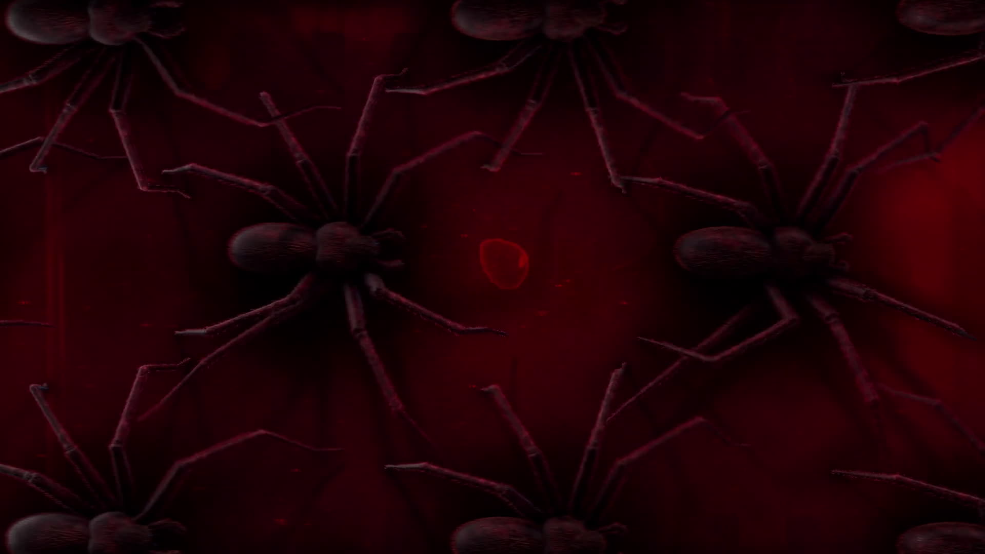 Spiders Crawl Across Background