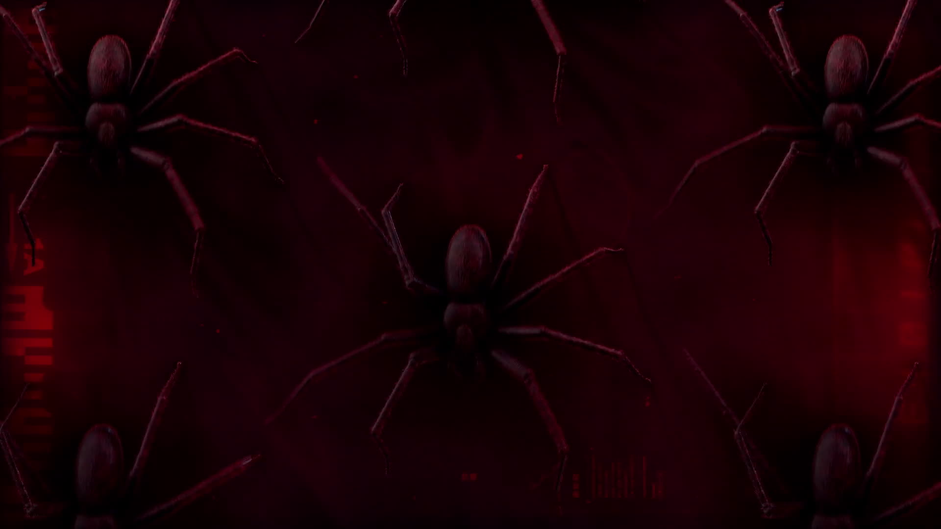 Spiders Crawling Down Background
