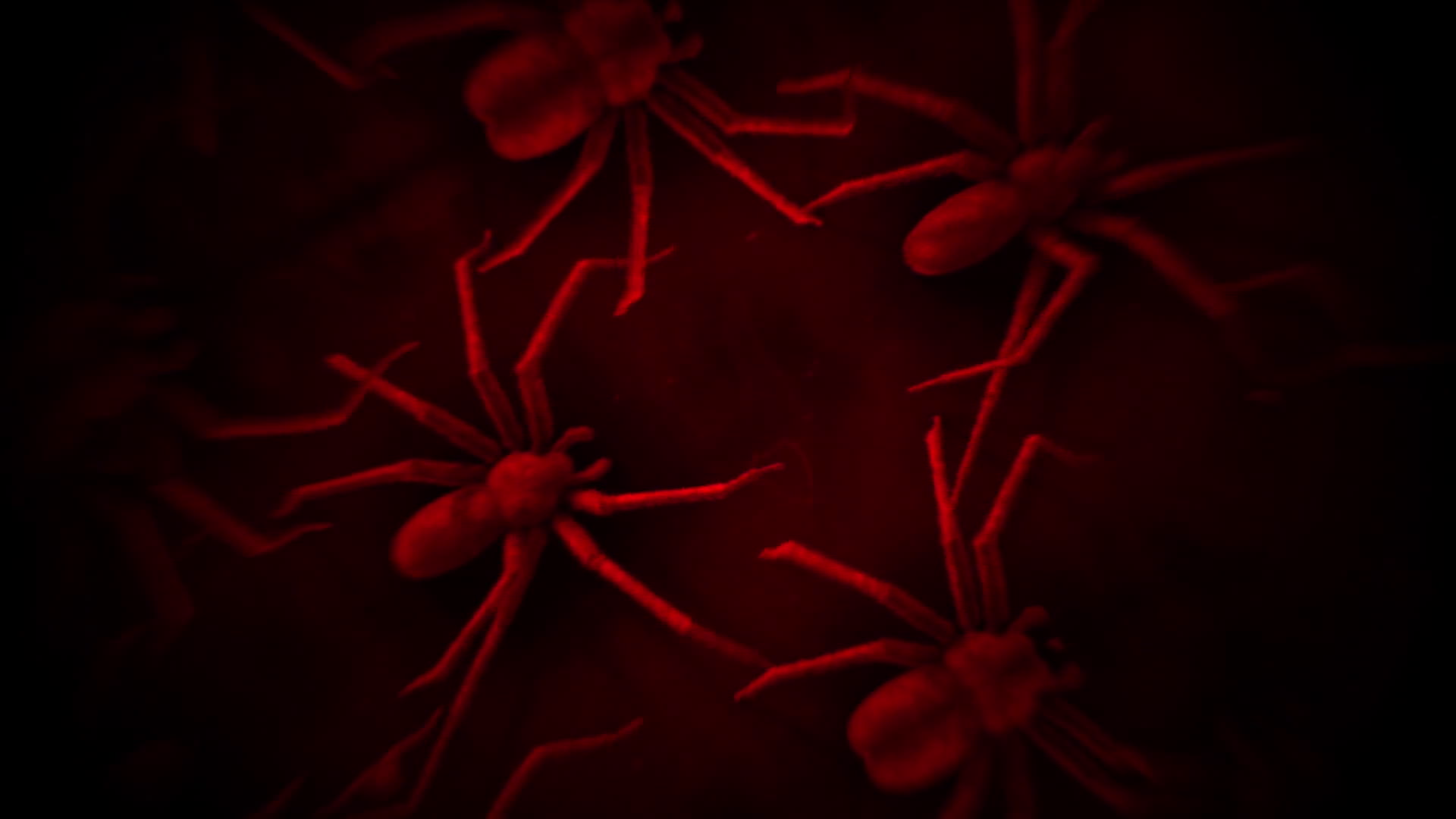 Spiders Creepy Crawl Distorted