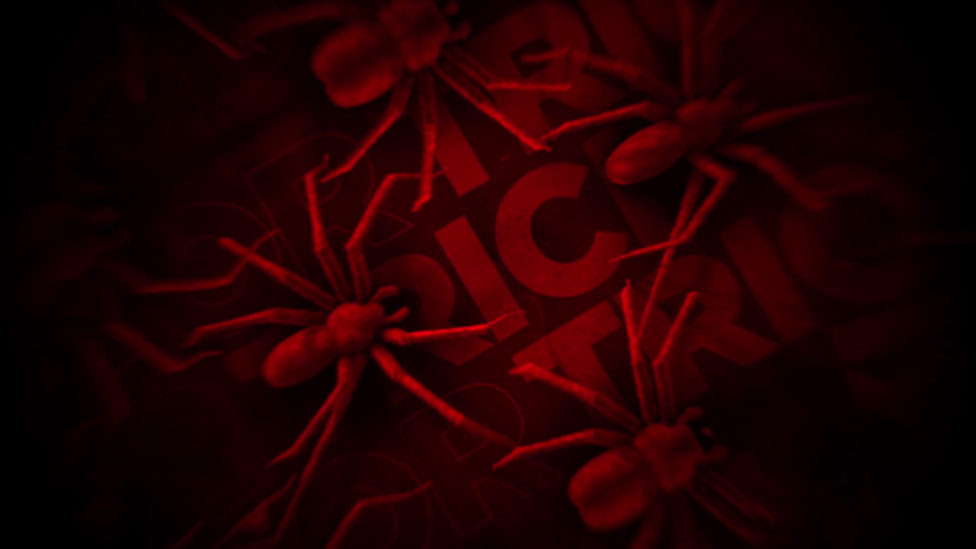 Spiders Trick Or Treat Background