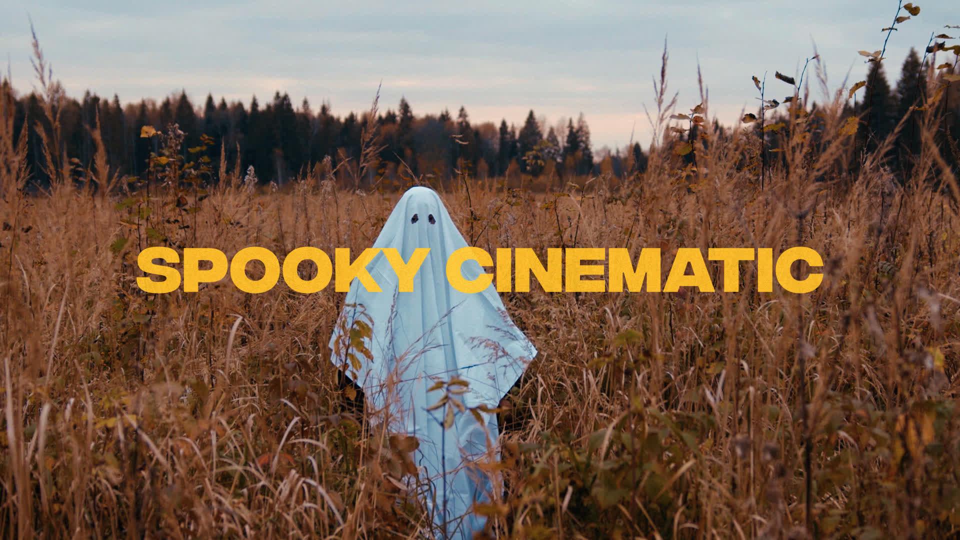 Spooky Cinematic LUT
