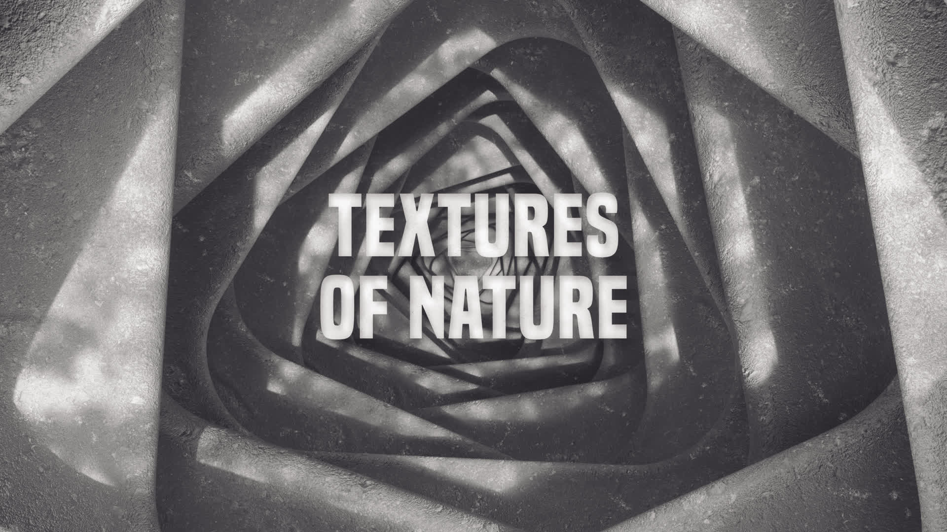 Stones and Grass Logo Intro