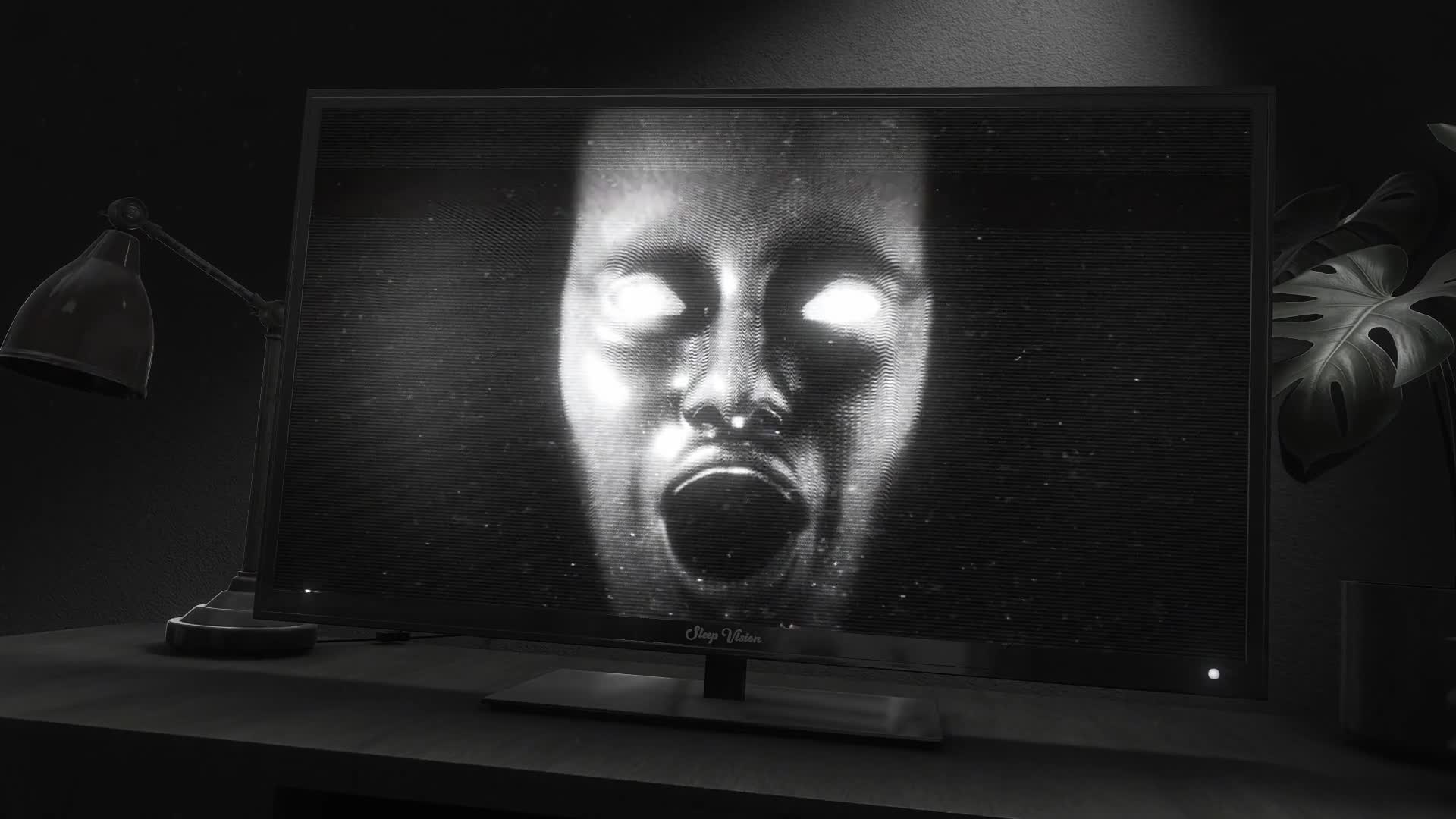TV Face Glitch Noise