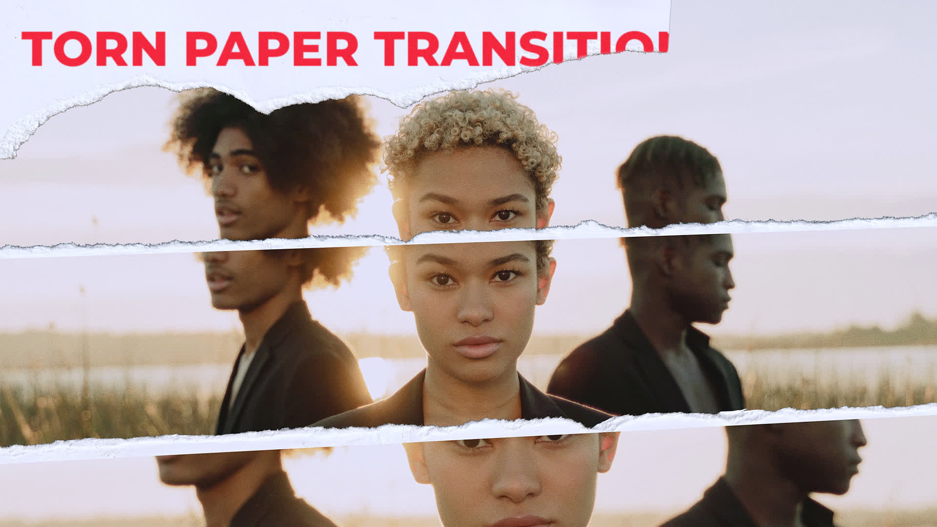 Torn Paper Transitions