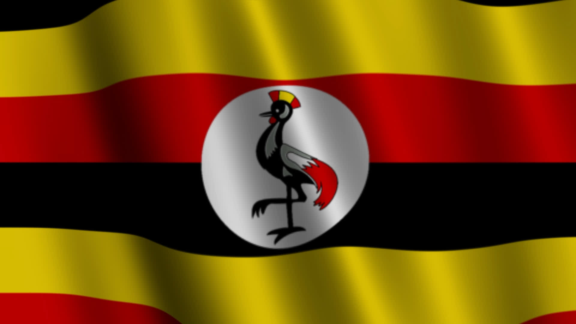 Uganda Flag Waving