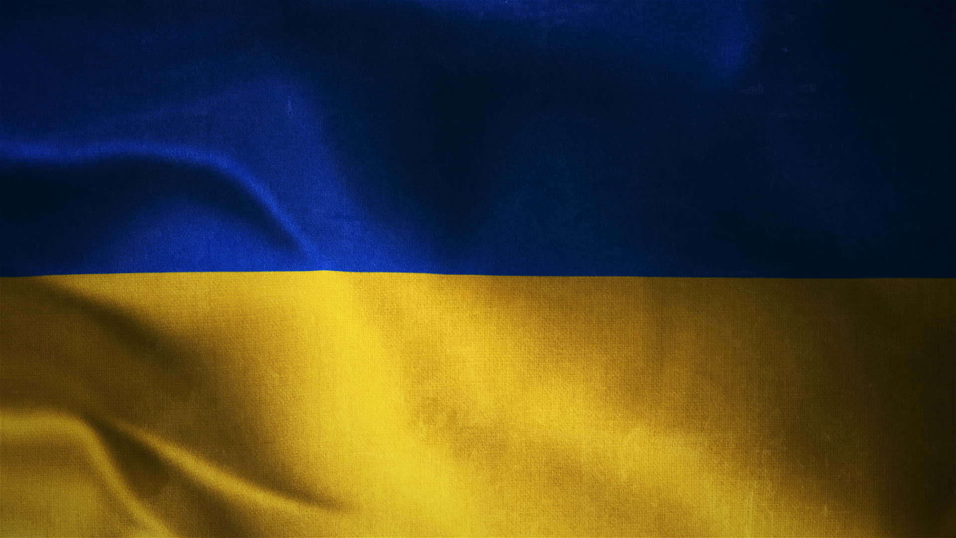 Ukraine Flag