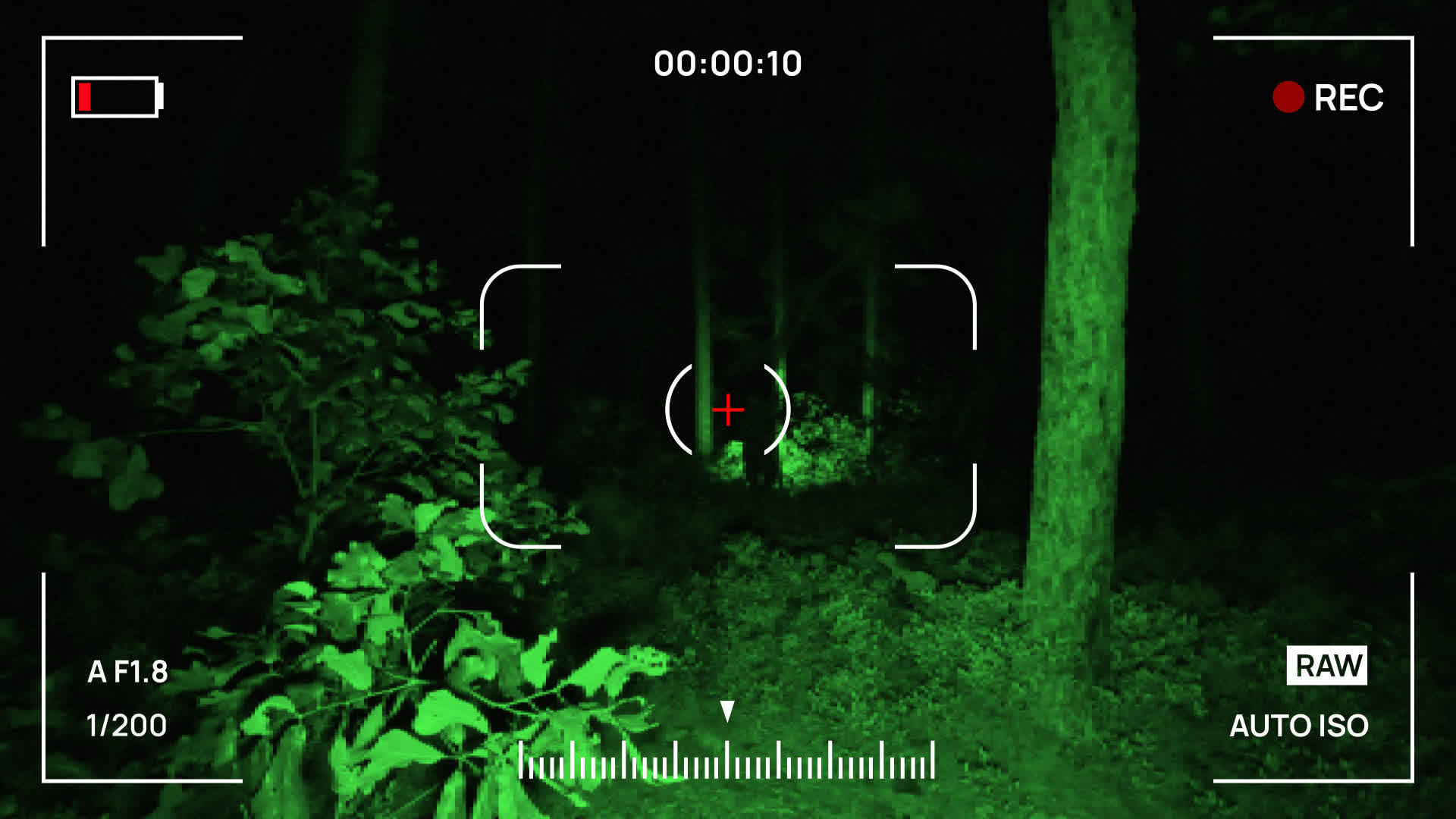 Video Recording Display With Night Vision Look