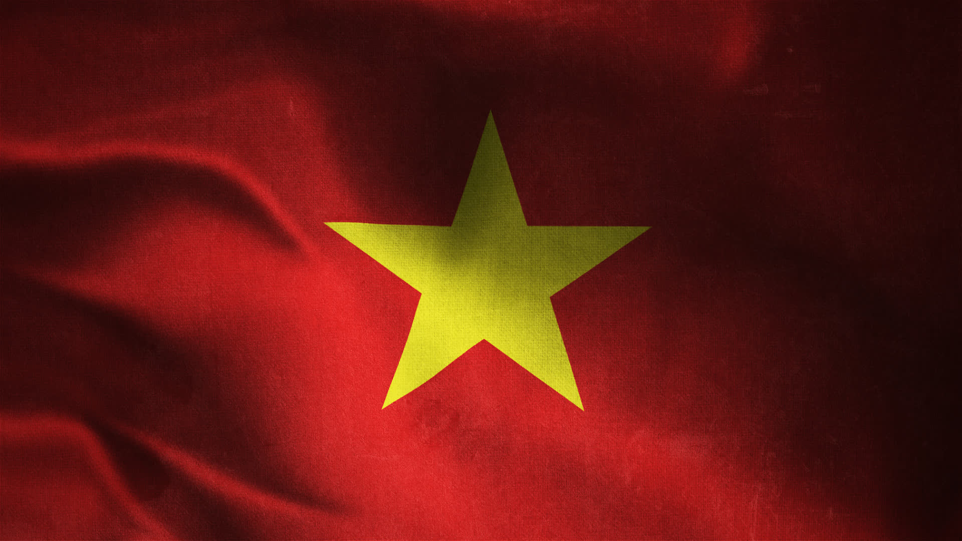 Vietnam Flag