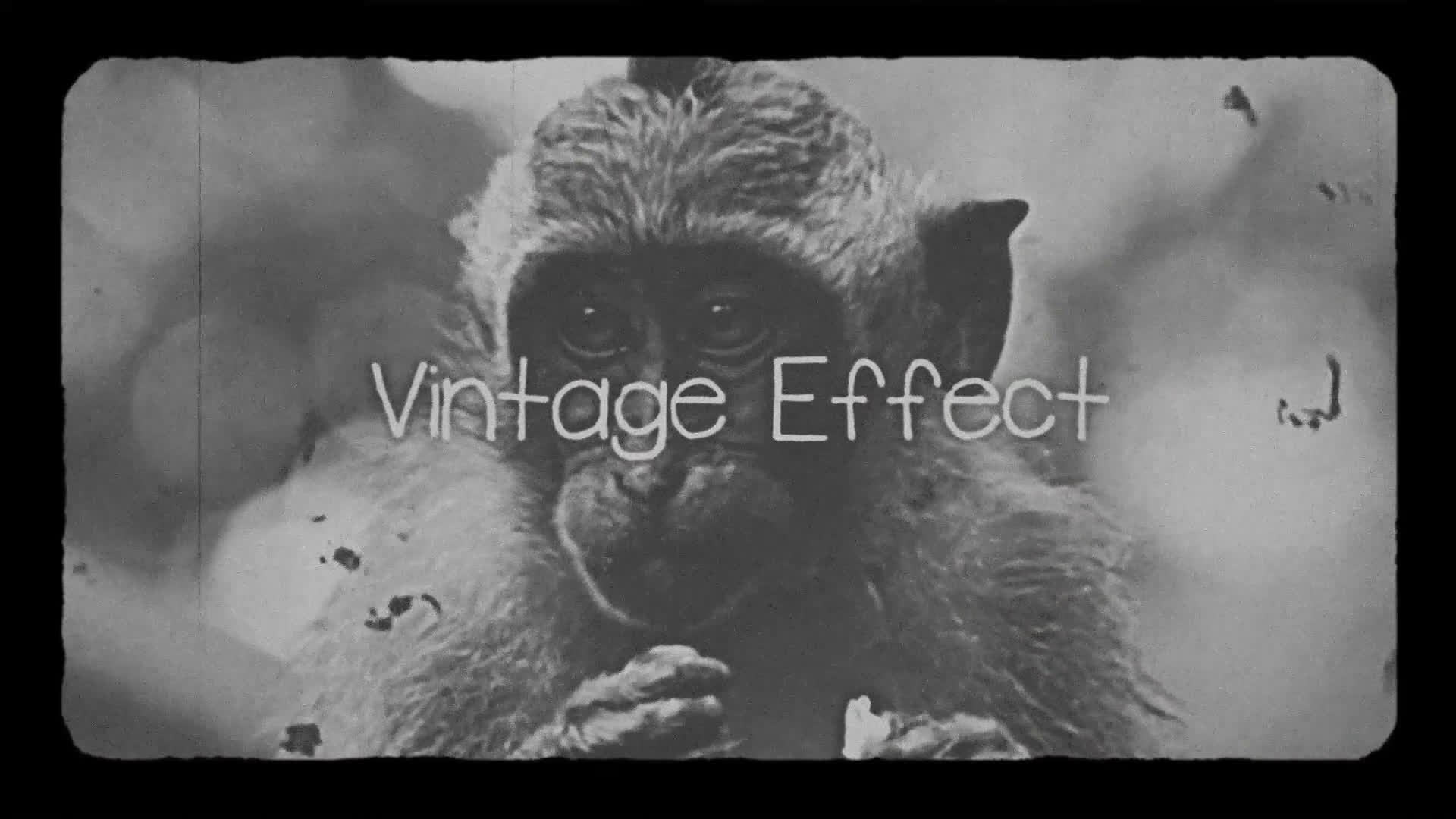 Vintage Effect