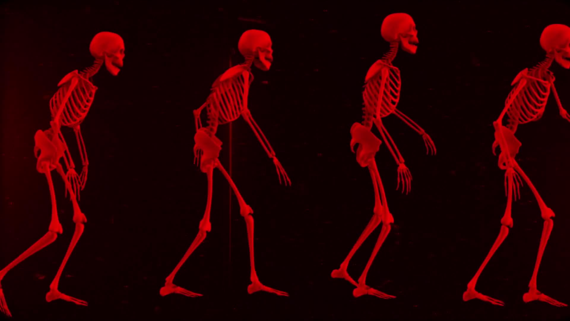 Walking Skeletons Background Loop