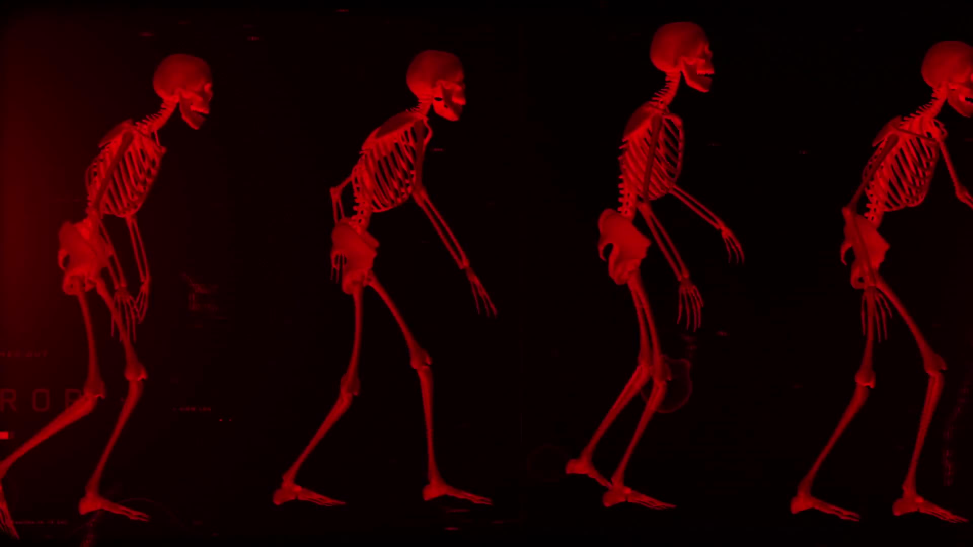 Walking Skeletons Loop