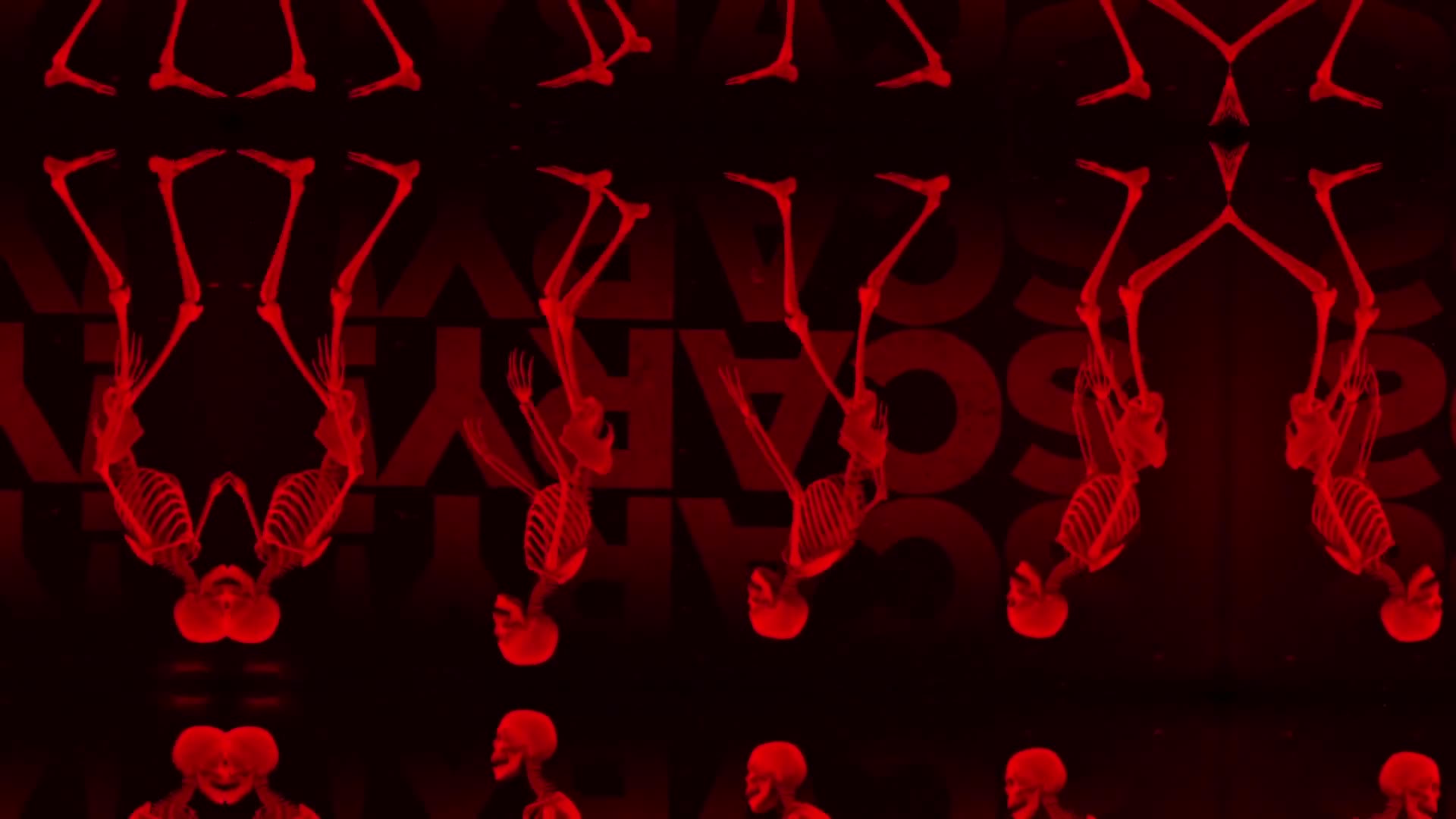 Walking Skeletons On Red Background Loop