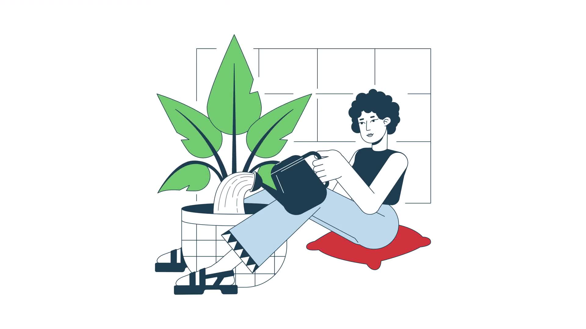 Watering Plant Animation