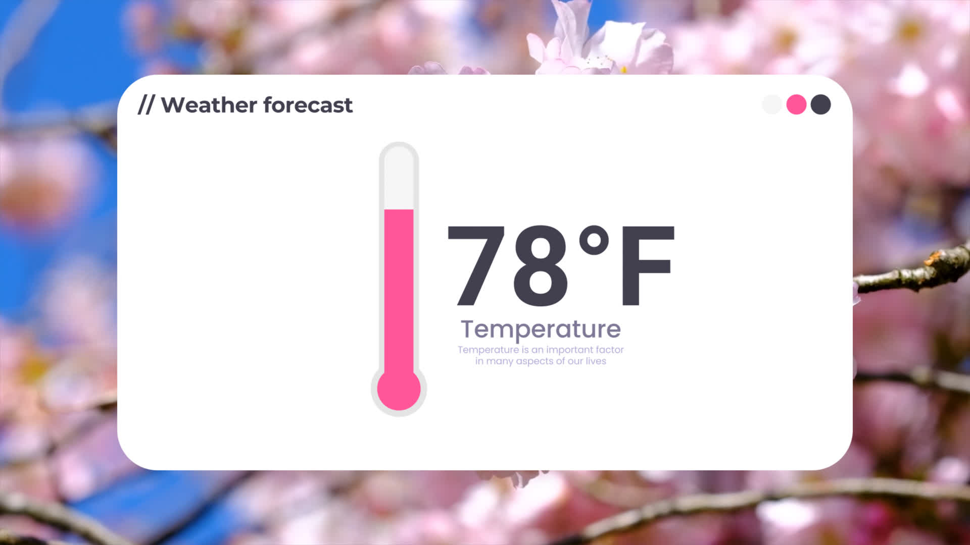 Weather Thermometer