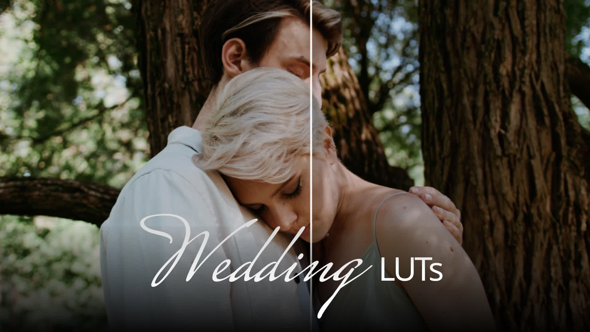 Wedding Lut Pack