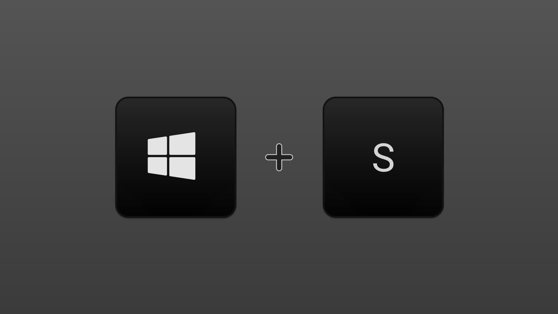 Win S Search Panel Click Animation