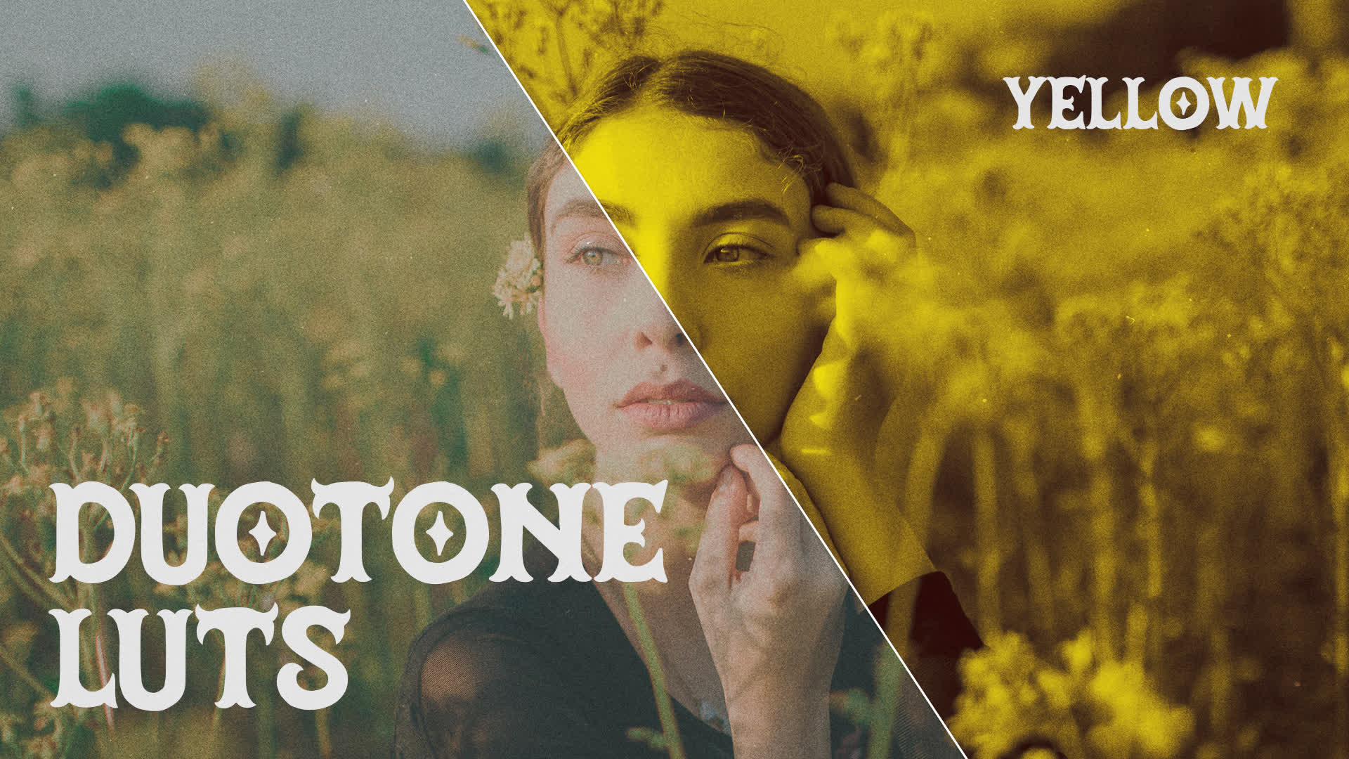 Yellow Duotone LUTs